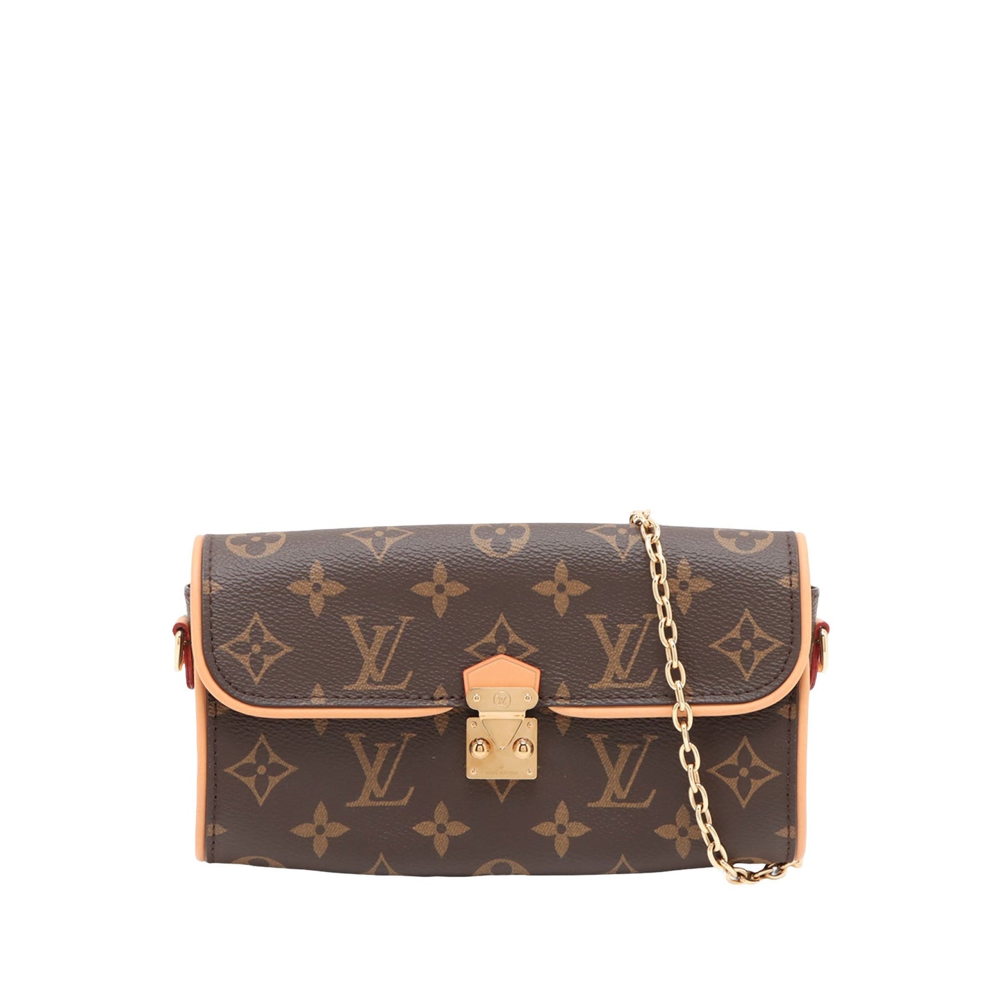 Louis Vuitton Monogram Pochette Camille