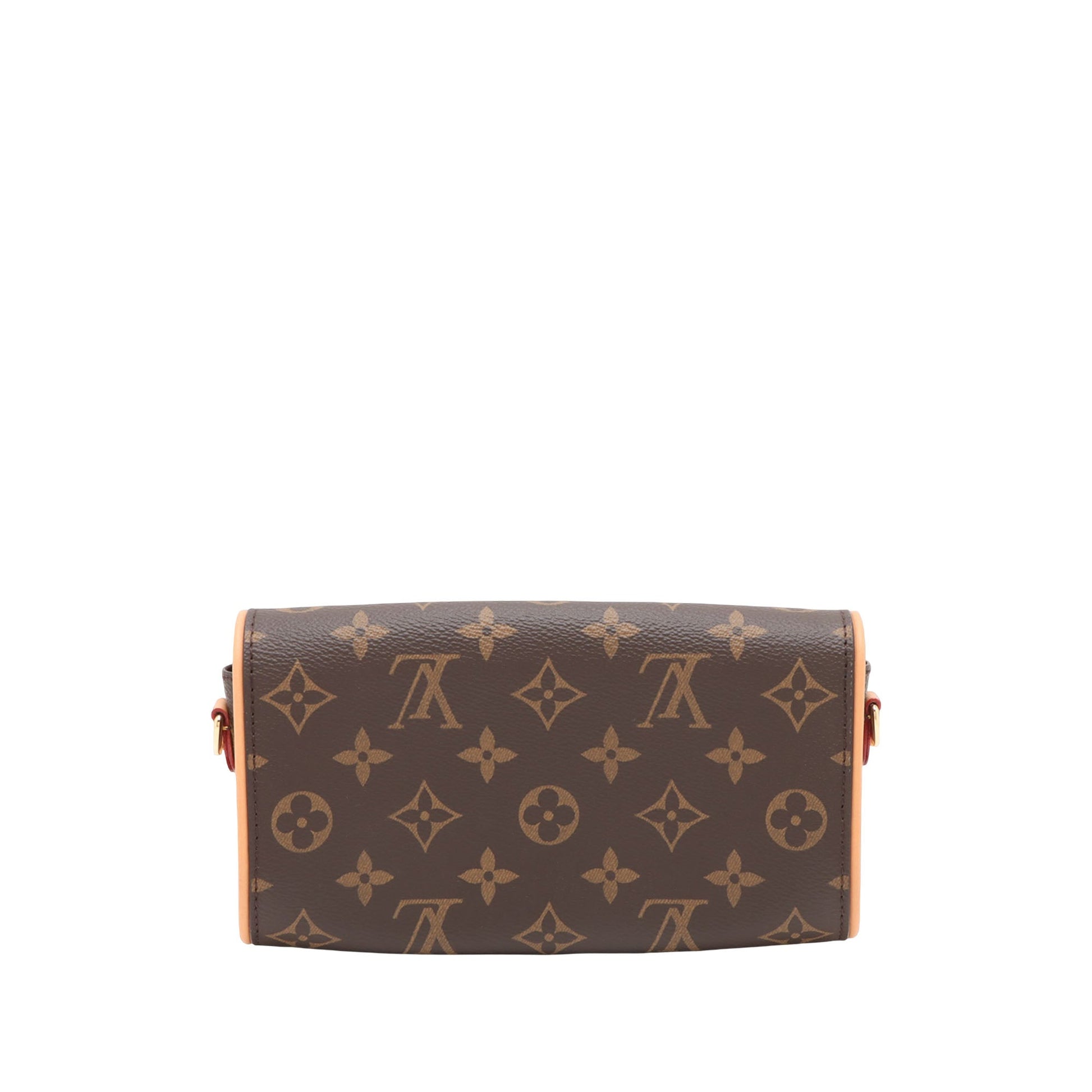 Louis Vuitton Monogram Pochette Camille