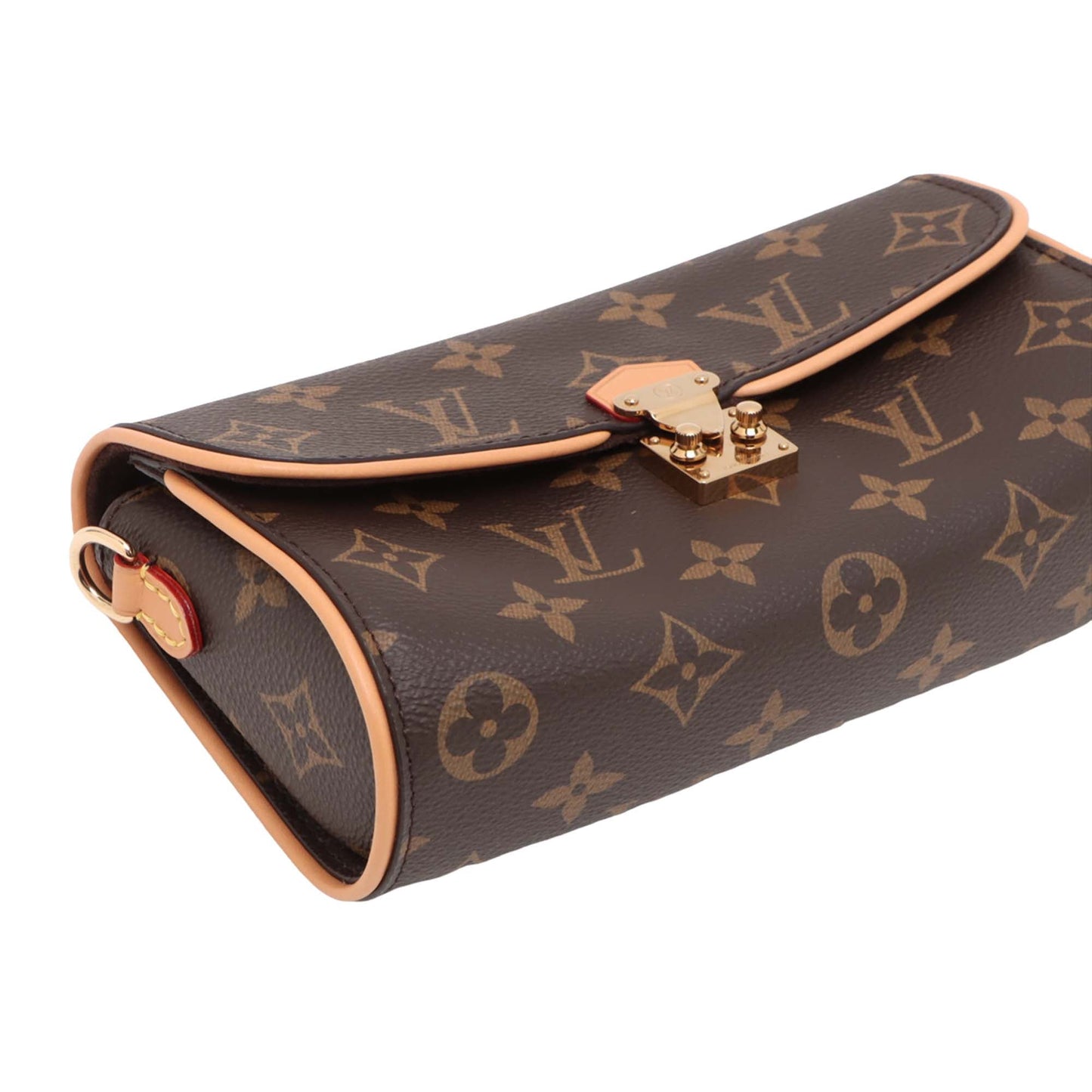 Louis Vuitton Monogram Pochette Camille