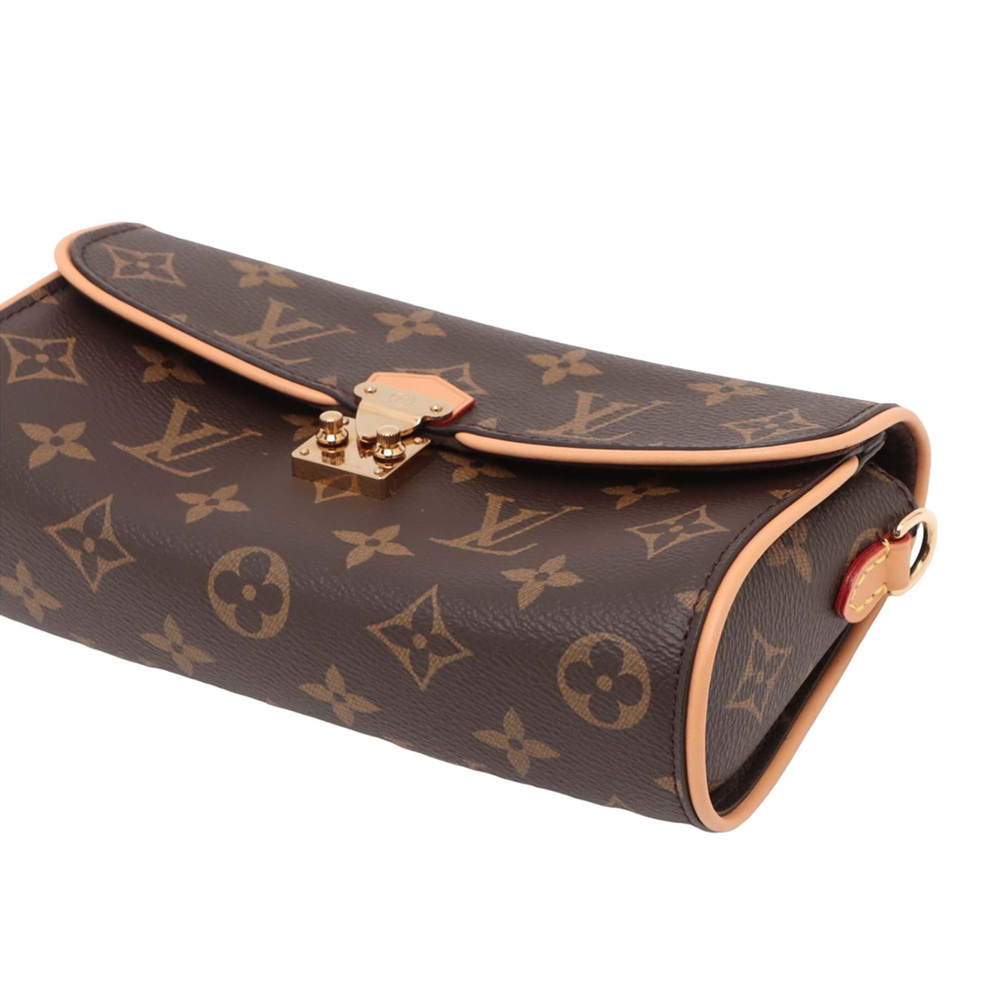 Louis Vuitton Monogram Pochette Camille