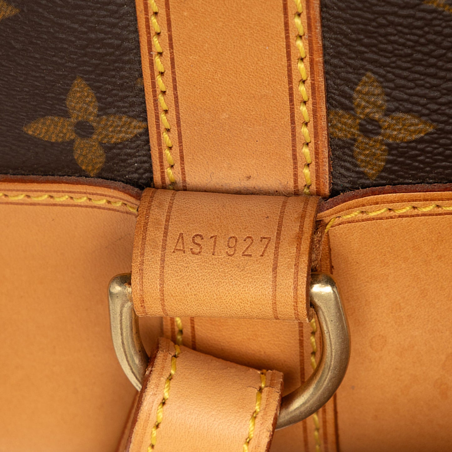 Louis Vuitton Monogram Randonnee PM
