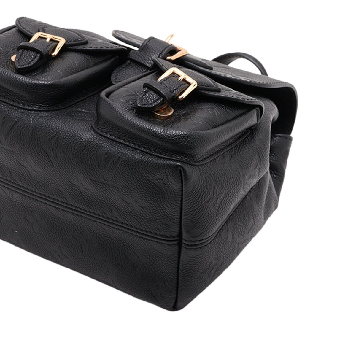 Louis Vuitton Monogram Empreinte Backup