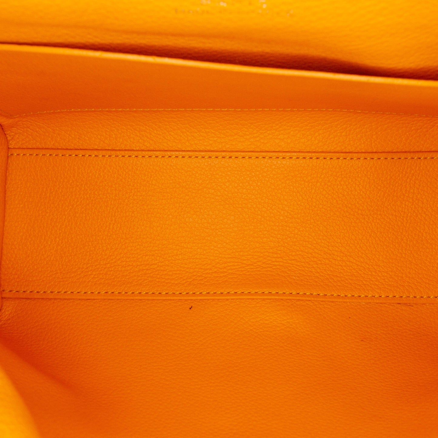 Goyard Mini Goyardine Saigon Souple