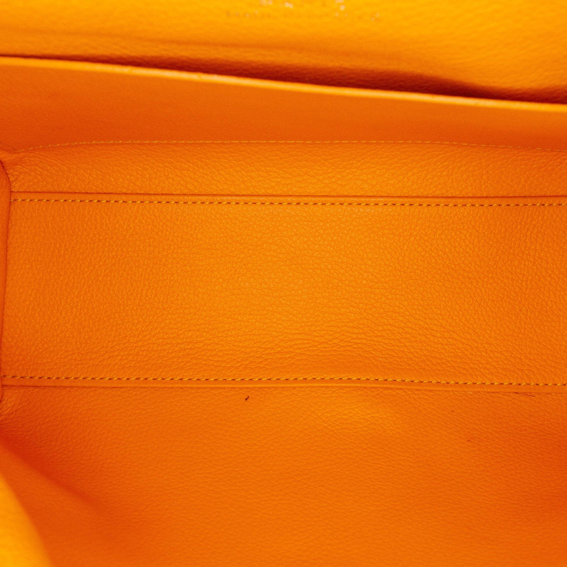 Goyard Mini Goyardine Saigon Souple