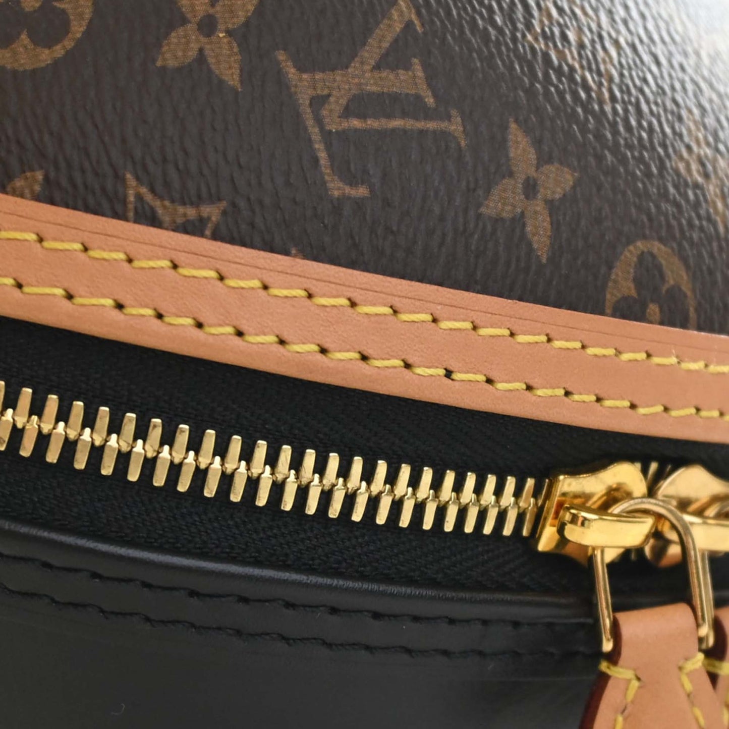 Louis Vuitton Monogram and Calfskin Egg Bag