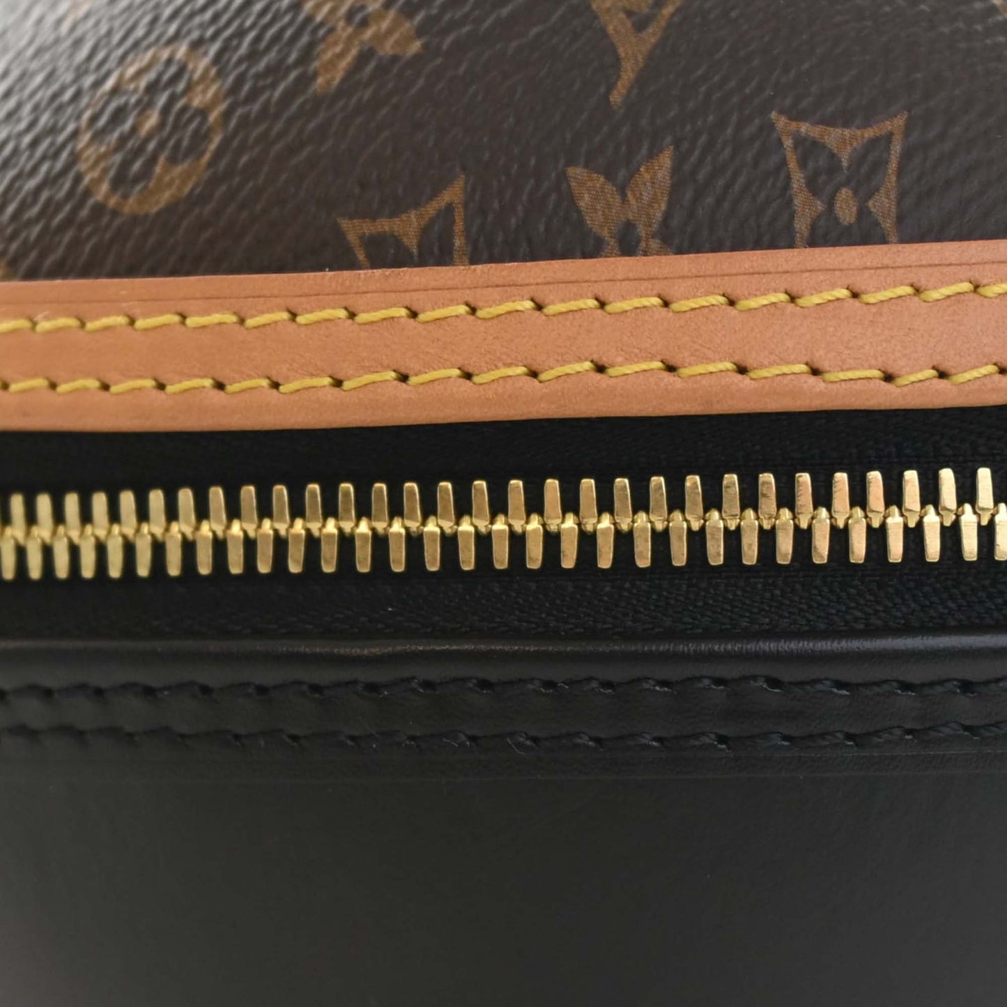 Louis Vuitton Monogram and Calfskin Egg Bag
