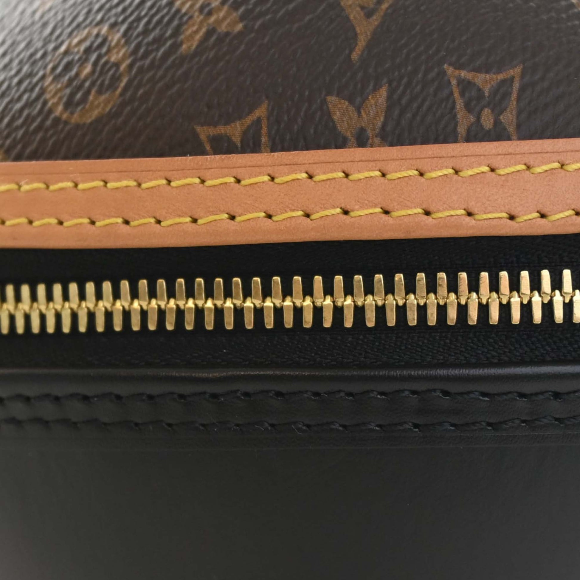 Louis Vuitton Monogram and Calfskin Egg Bag