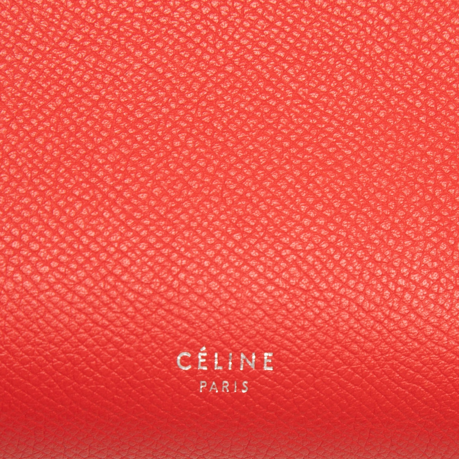Celine Mini Grained Calfskin Belt Bag
