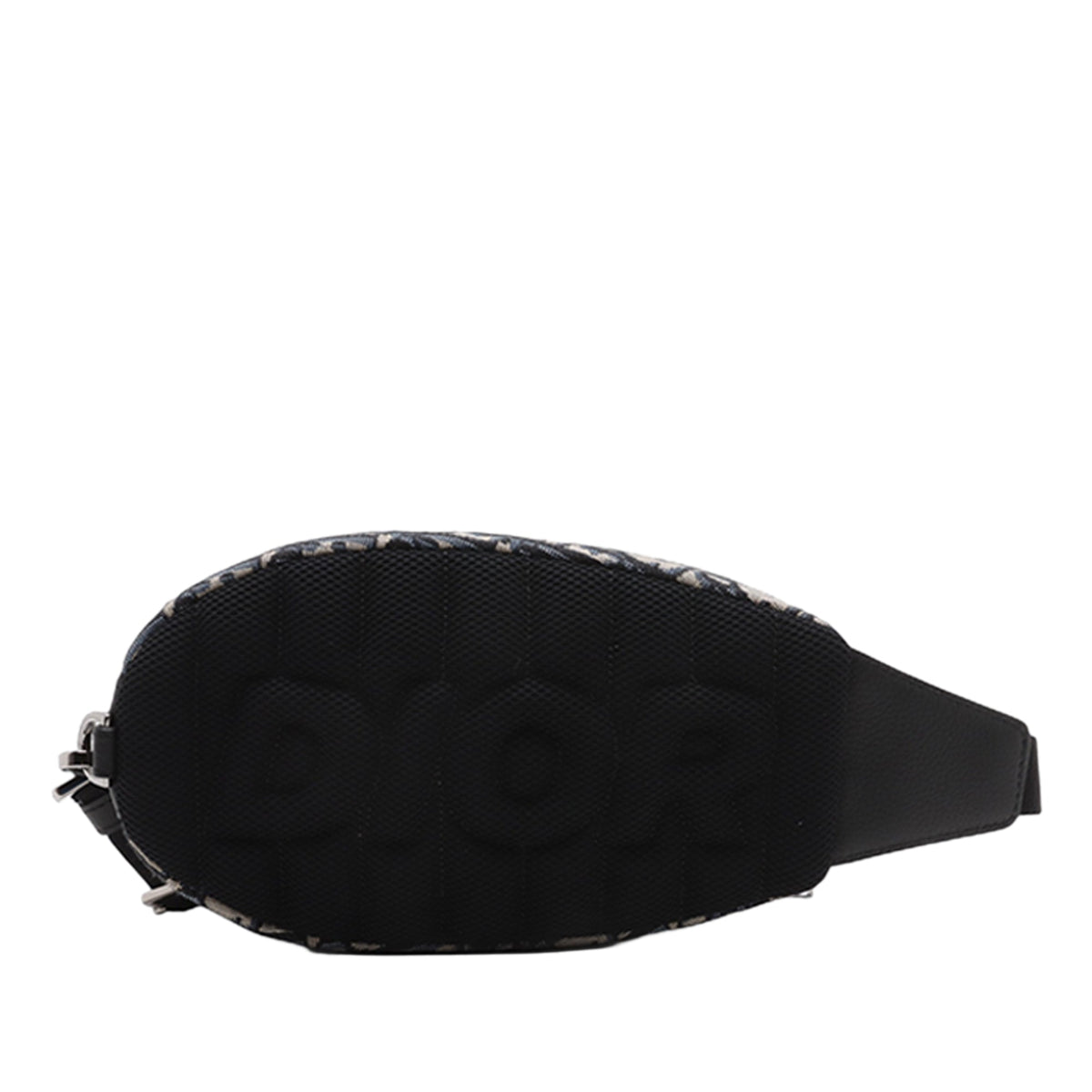 Dior Oblique Canvas Scarab Crossbody