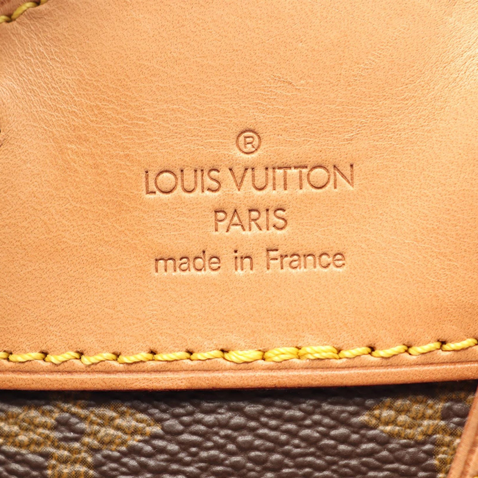 Louis Vuitton Monogram Montsouris MM