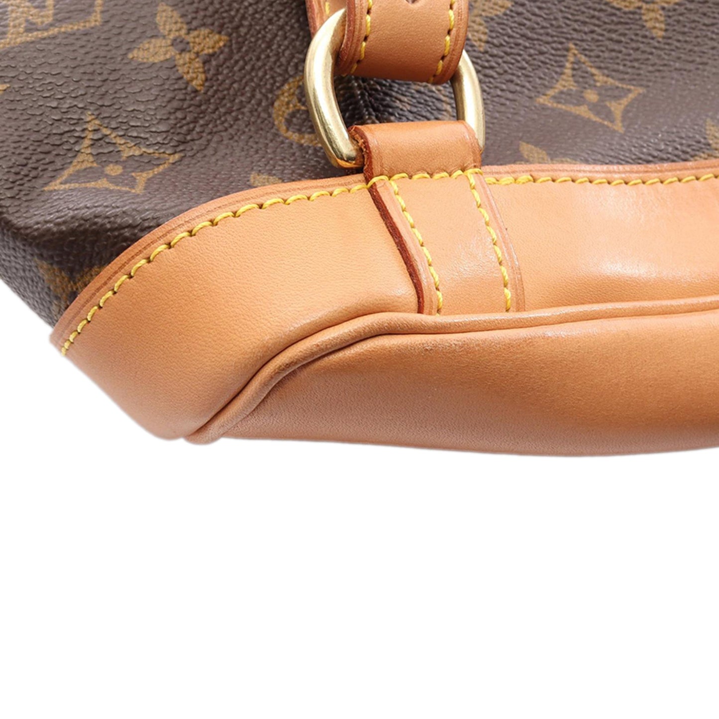 Louis Vuitton Monogram Montsouris MM