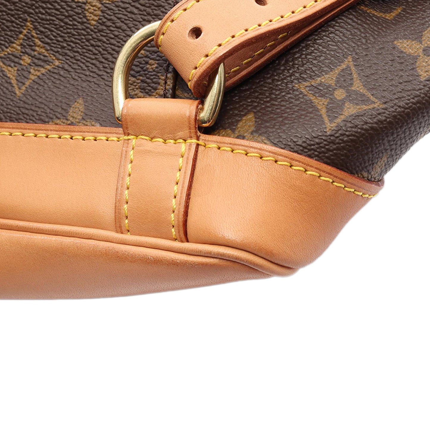 Louis Vuitton Monogram Montsouris MM