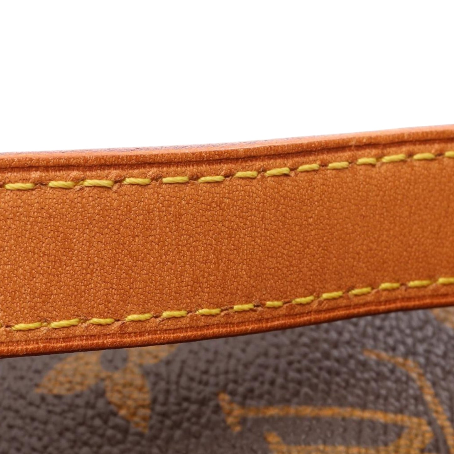 Louis Vuitton Monogram Montsouris MM