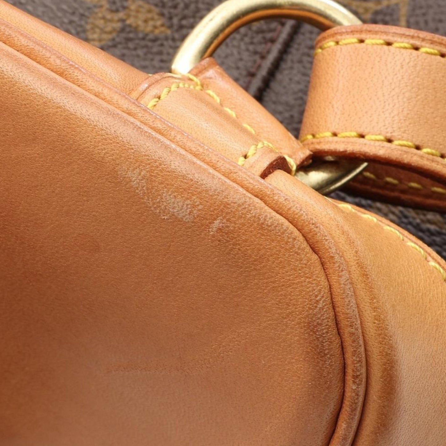 Louis Vuitton Monogram Montsouris MM