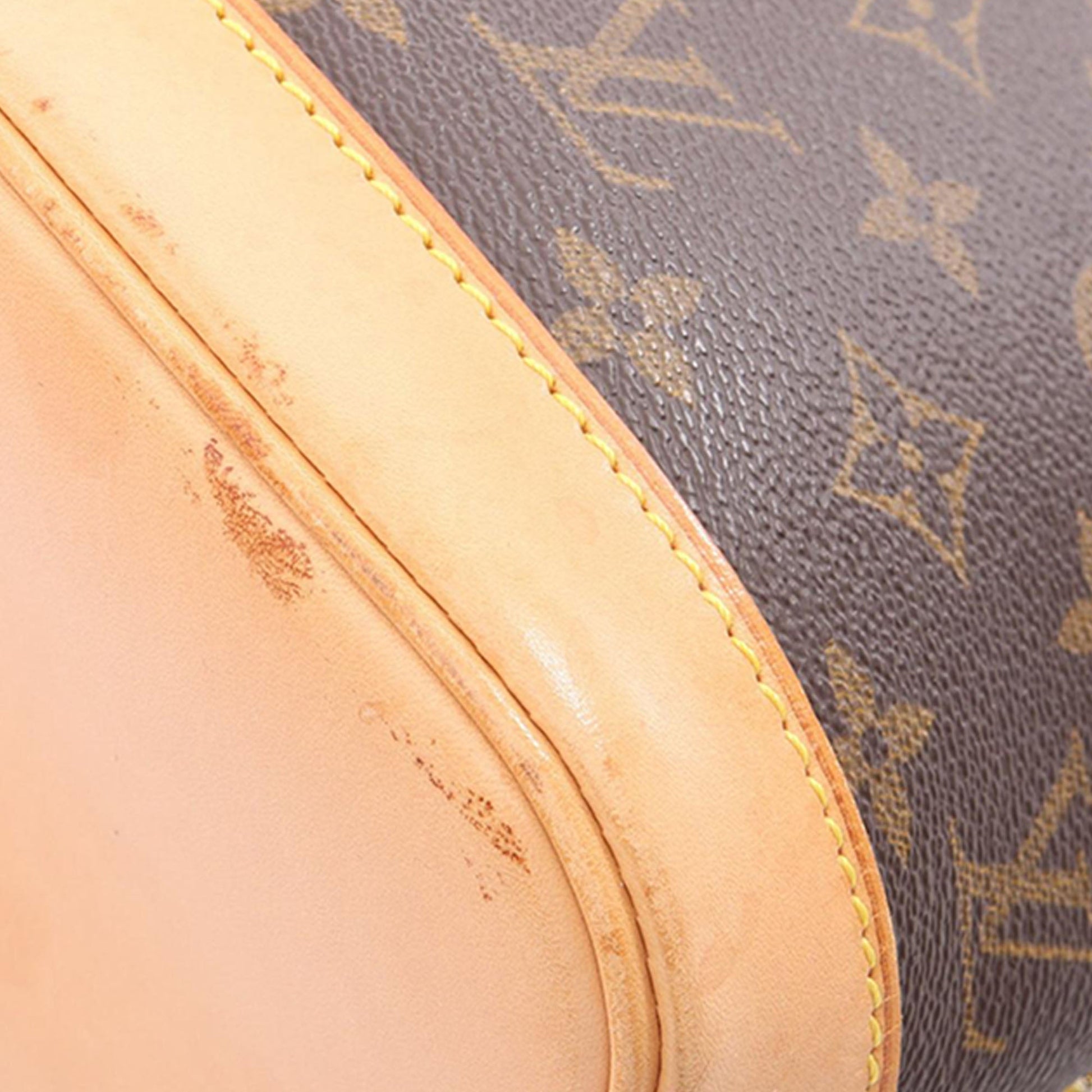 Louis Vuitton Monogram Alma PM