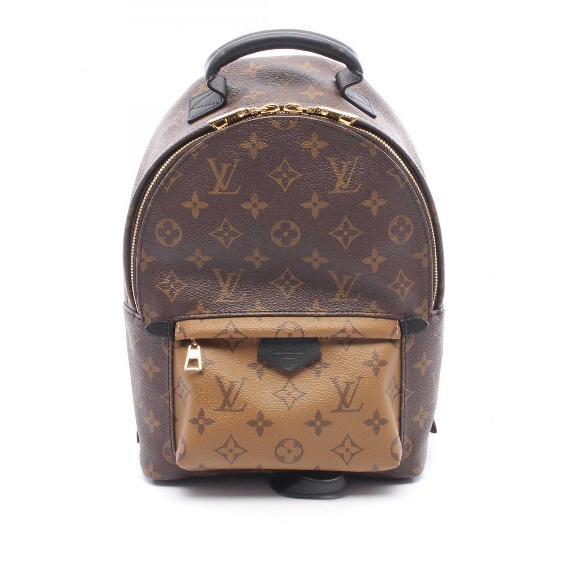 Louis Vuitton Monogram Reverse Palm Springs PM