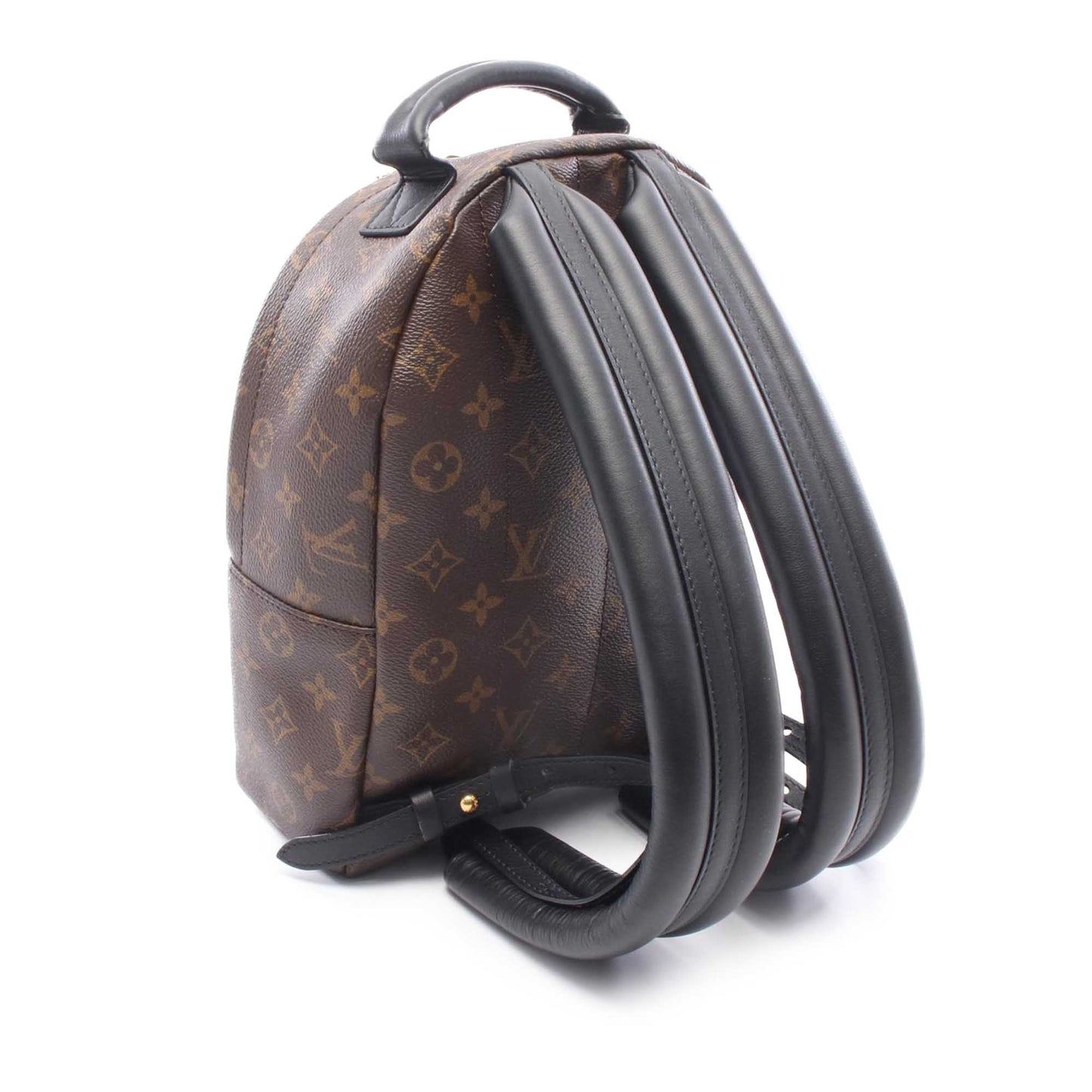 Louis Vuitton Monogram Reverse Palm Springs PM