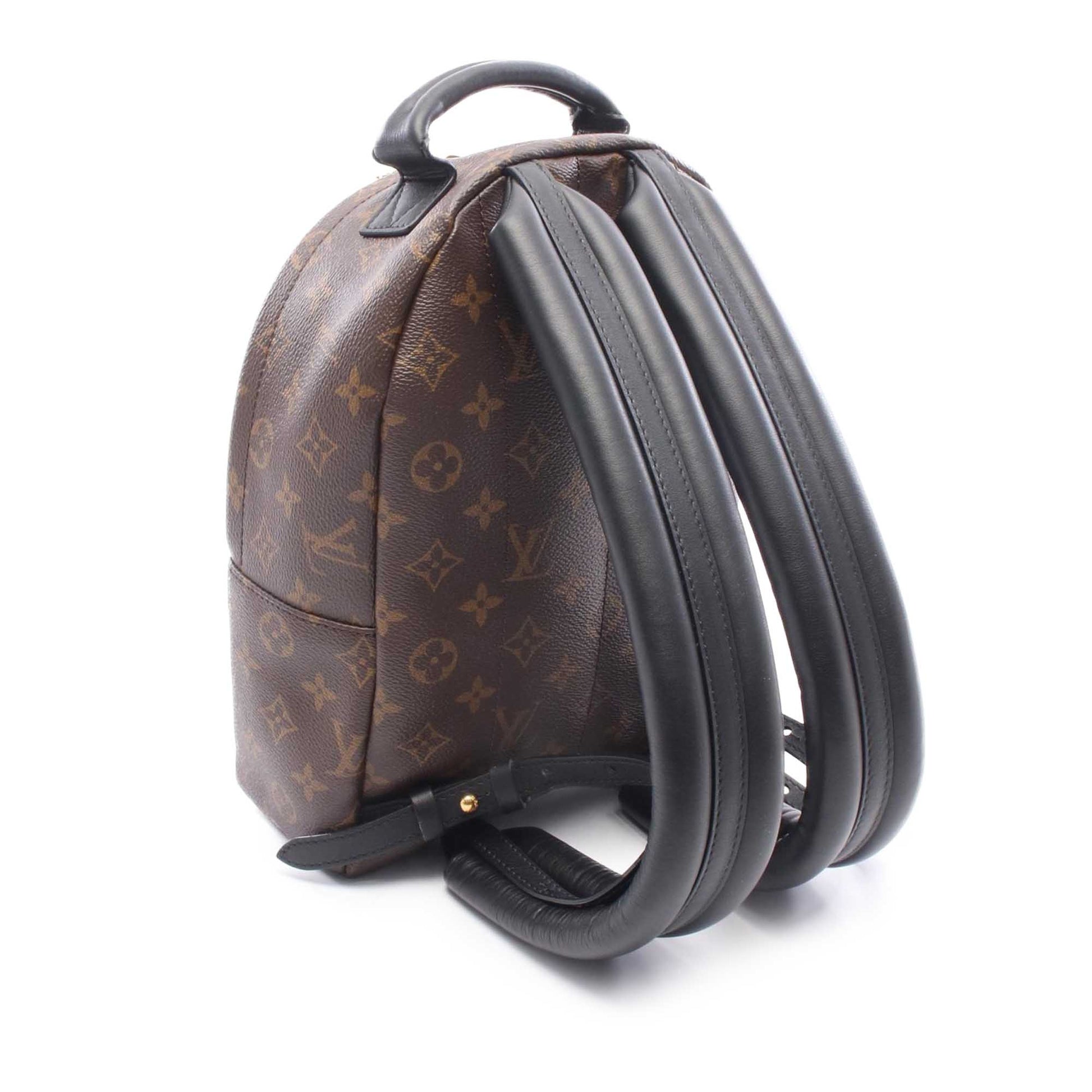 Louis Vuitton Monogram Reverse Palm Springs PM