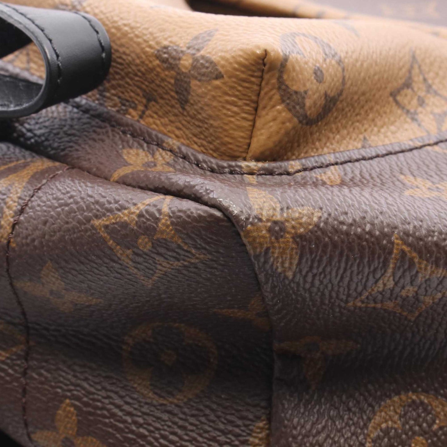 Louis Vuitton Monogram Reverse Palm Springs PM