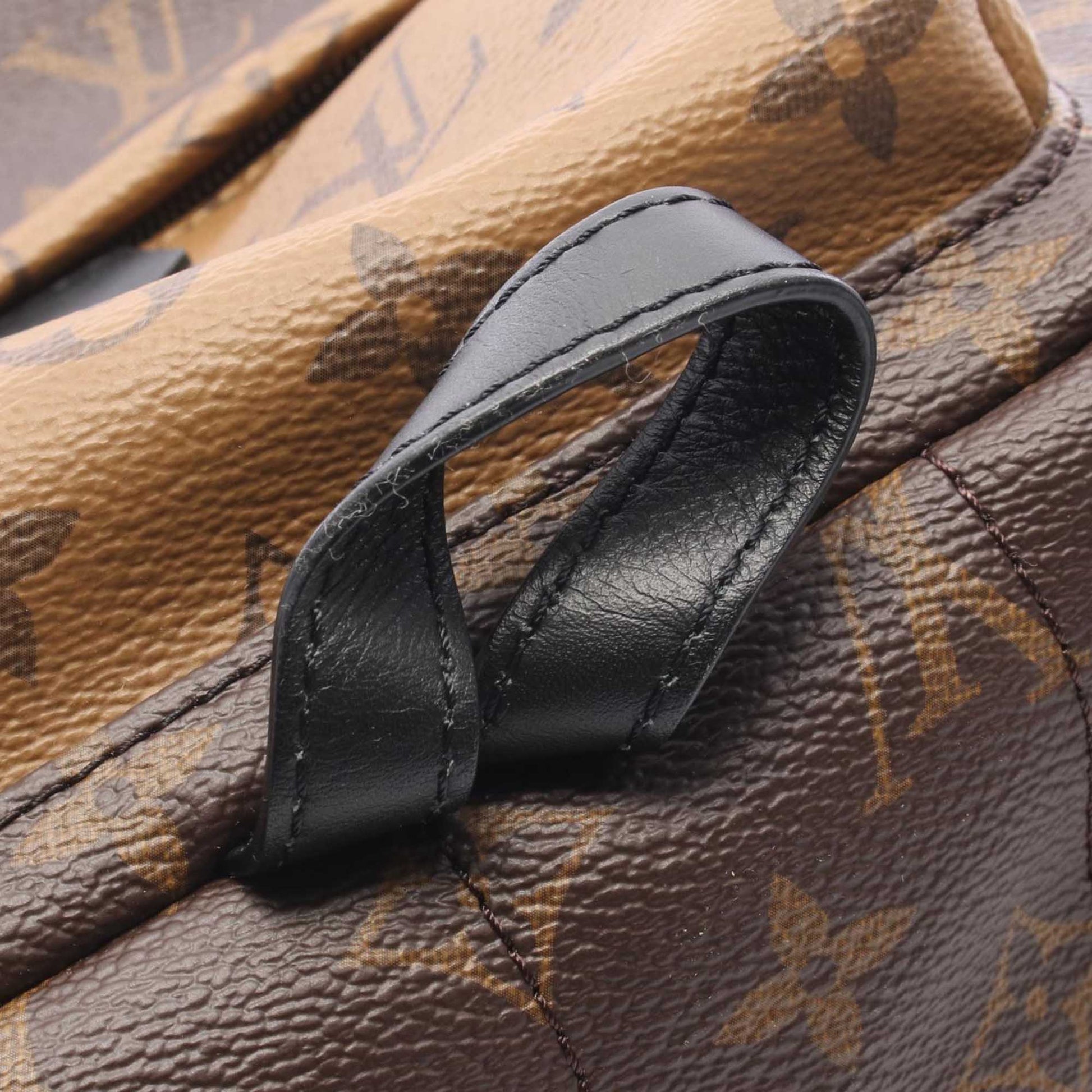 Louis Vuitton Monogram Reverse Palm Springs PM