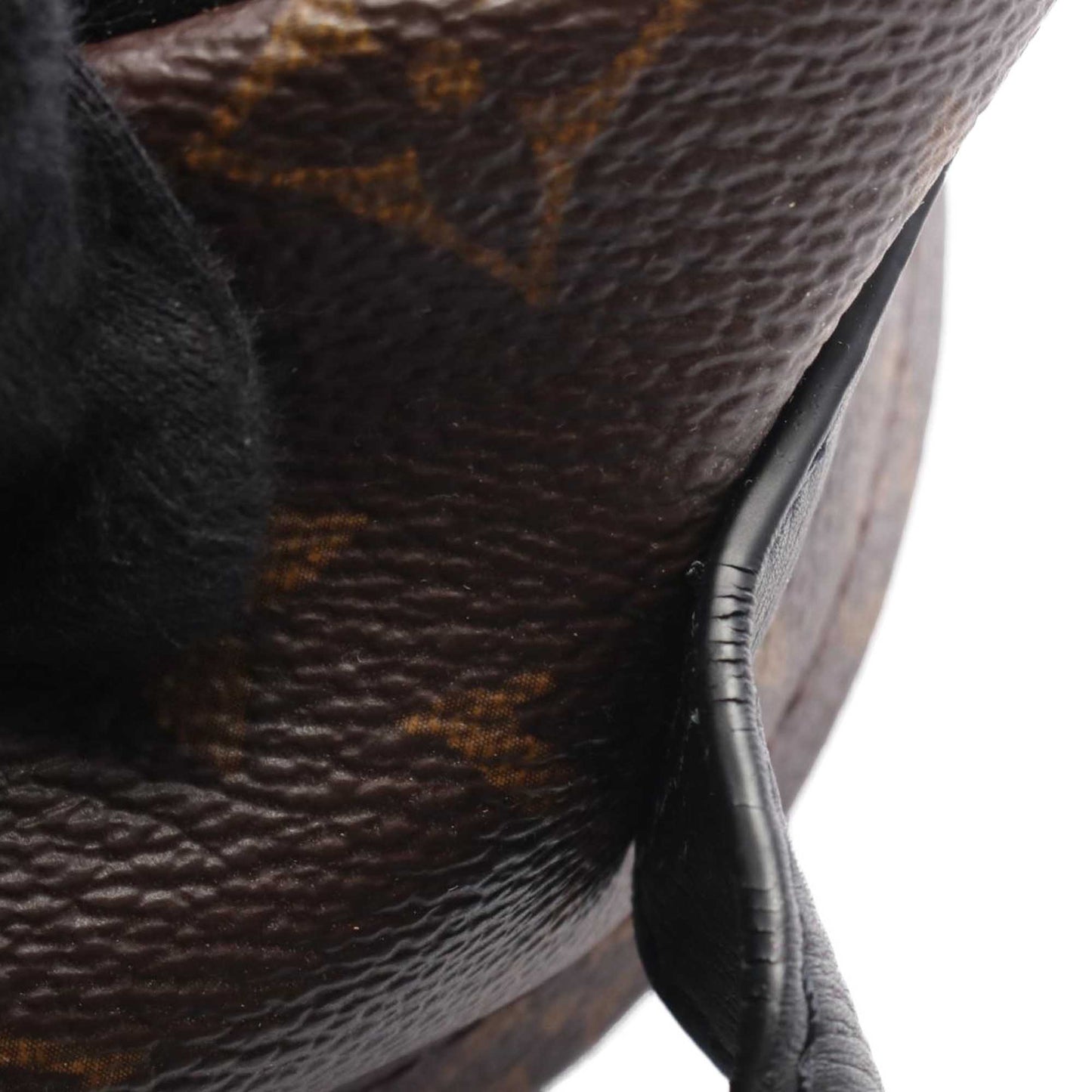 Louis Vuitton Monogram Reverse Palm Springs PM