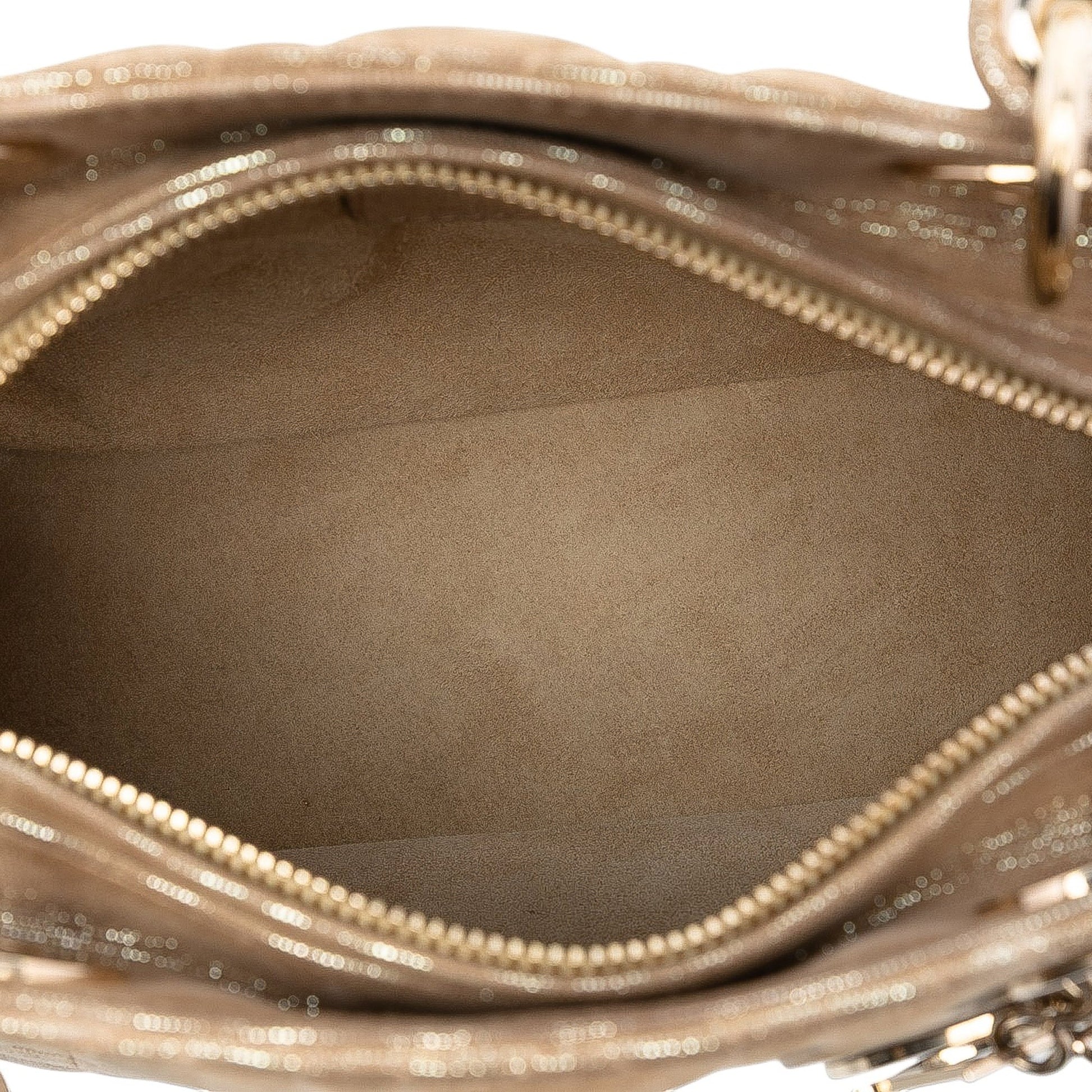Dior Medium Iridescent Lambskin Cannage Lady Dior