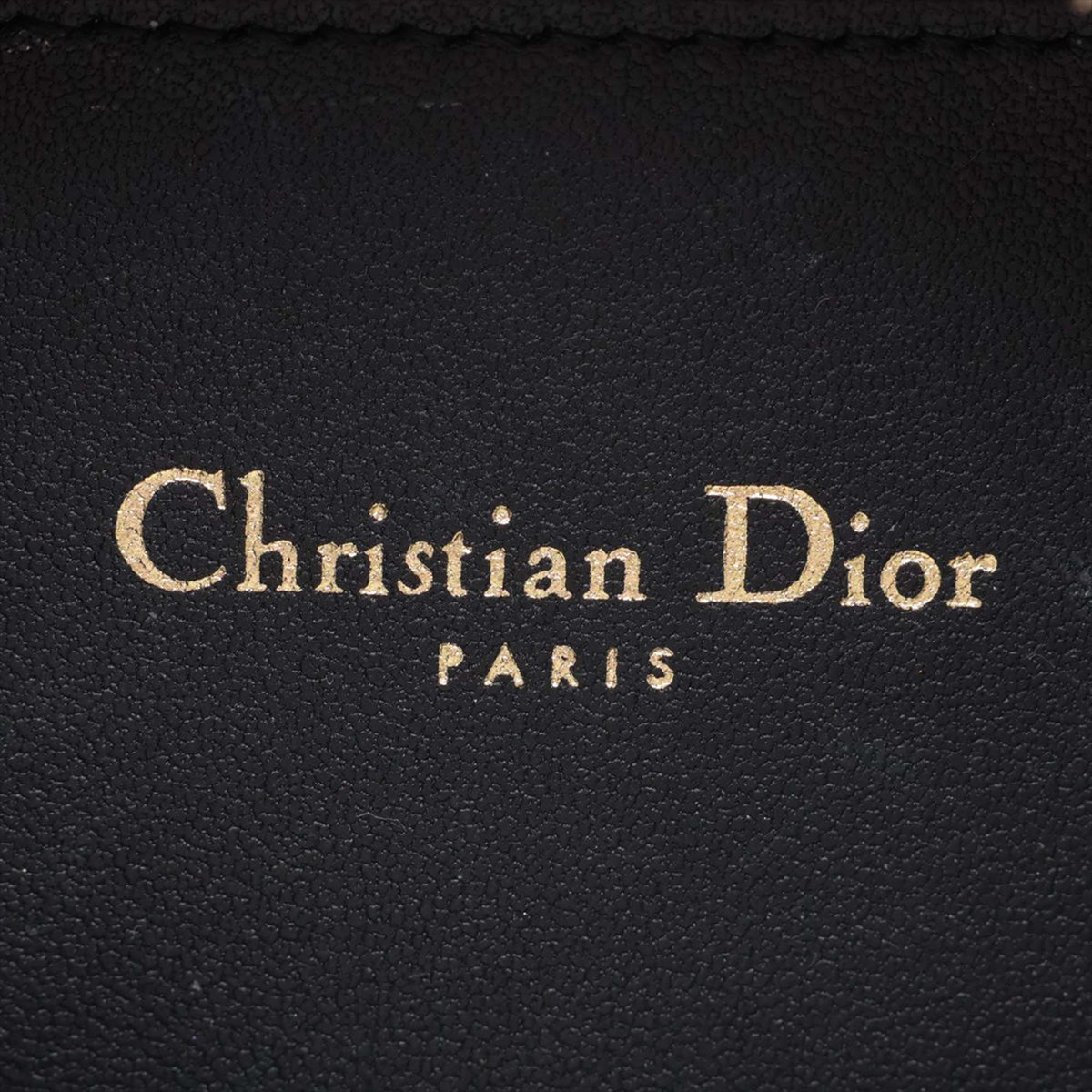 Dior Calfskin CD Oval Camera Bag — Black