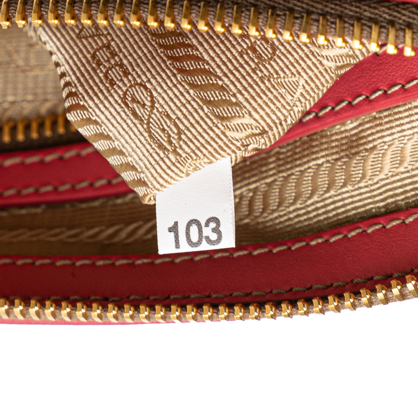 Prada Canvas Canapa Logo Bow Crossbody