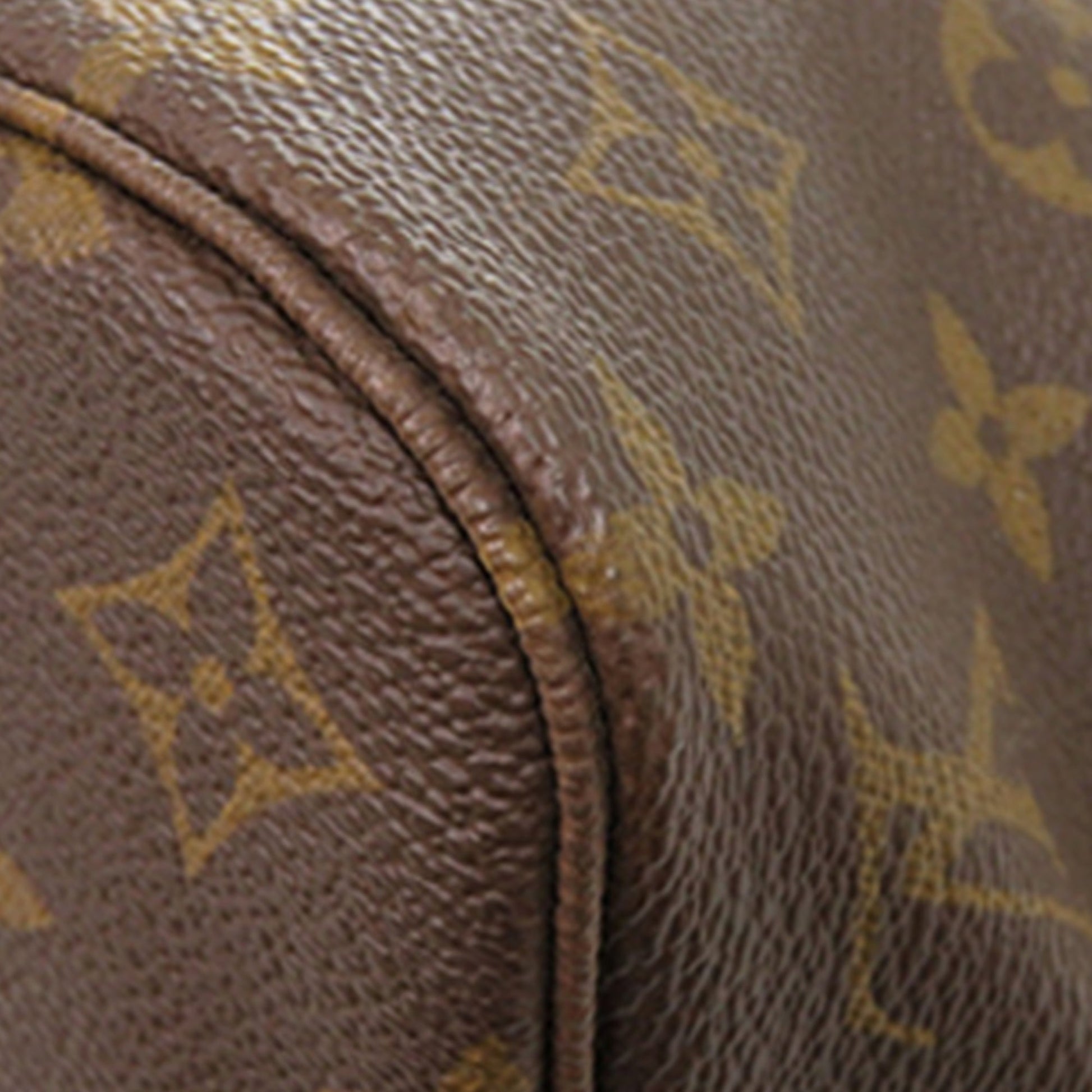 Louis Vuitton Monogram Neverfull PM