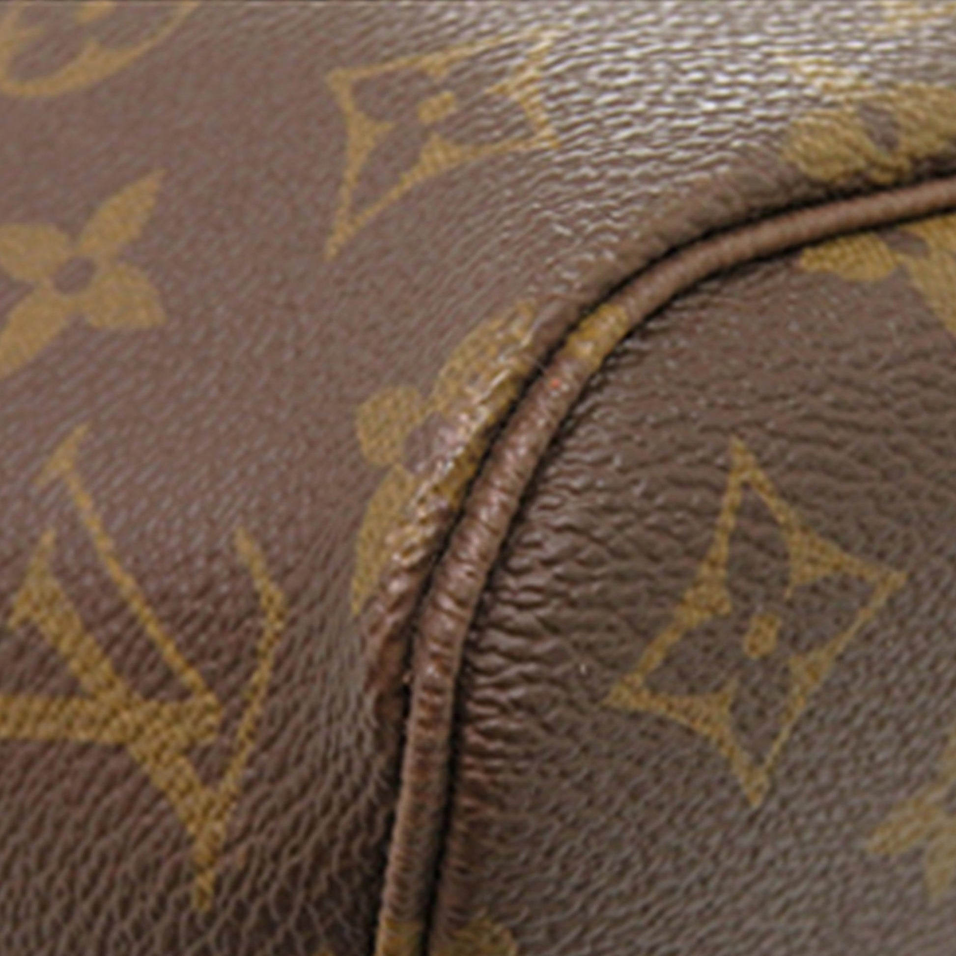 Louis Vuitton Monogram Neverfull PM