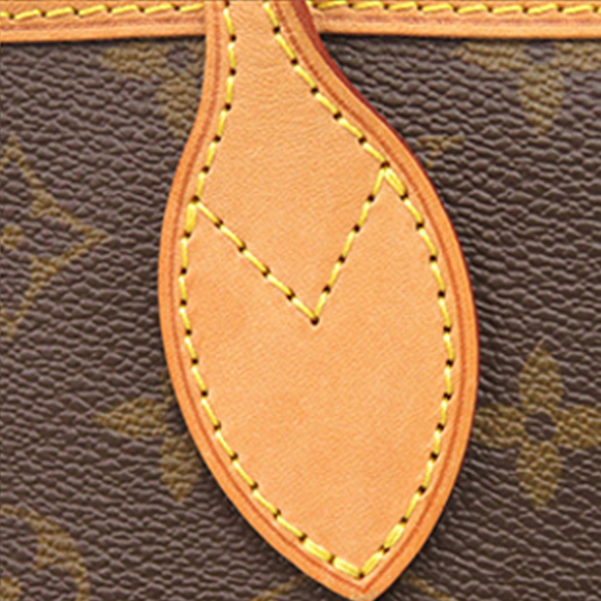 Louis Vuitton Monogram Neverfull PM