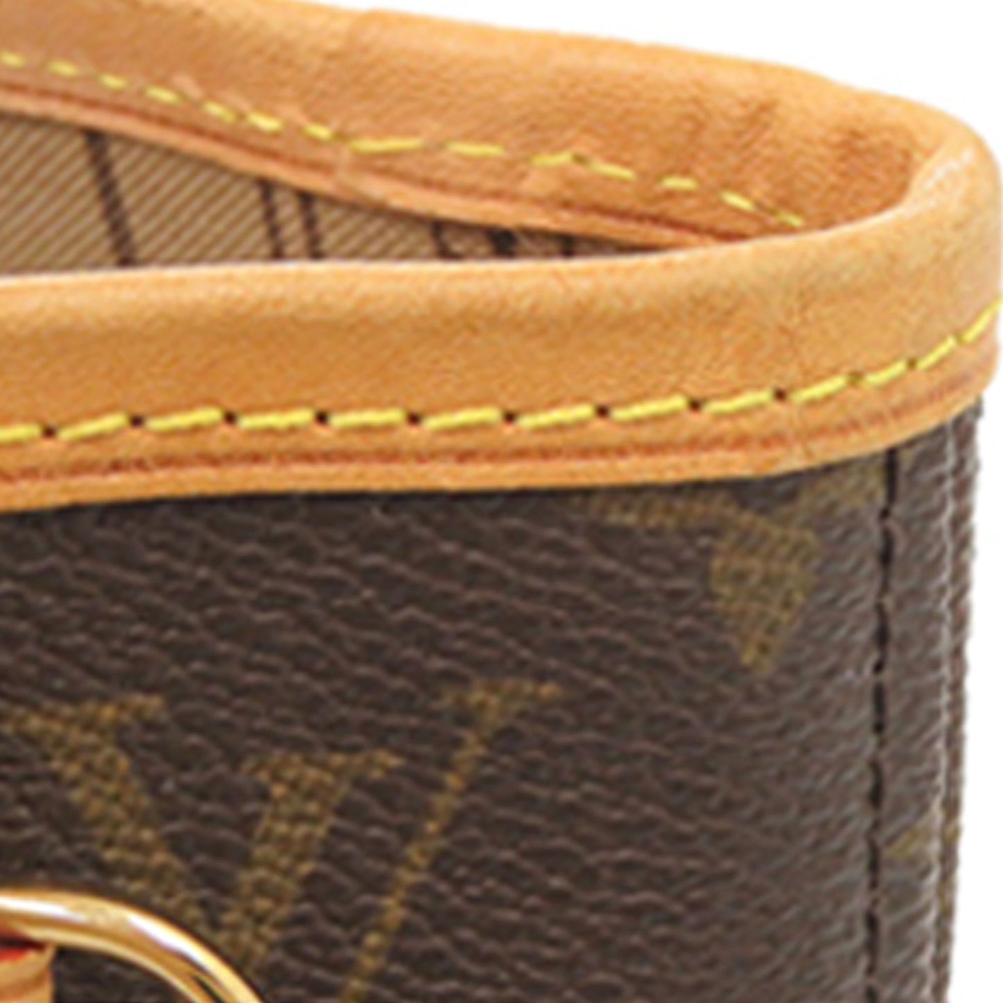 Louis Vuitton Monogram Neverfull PM