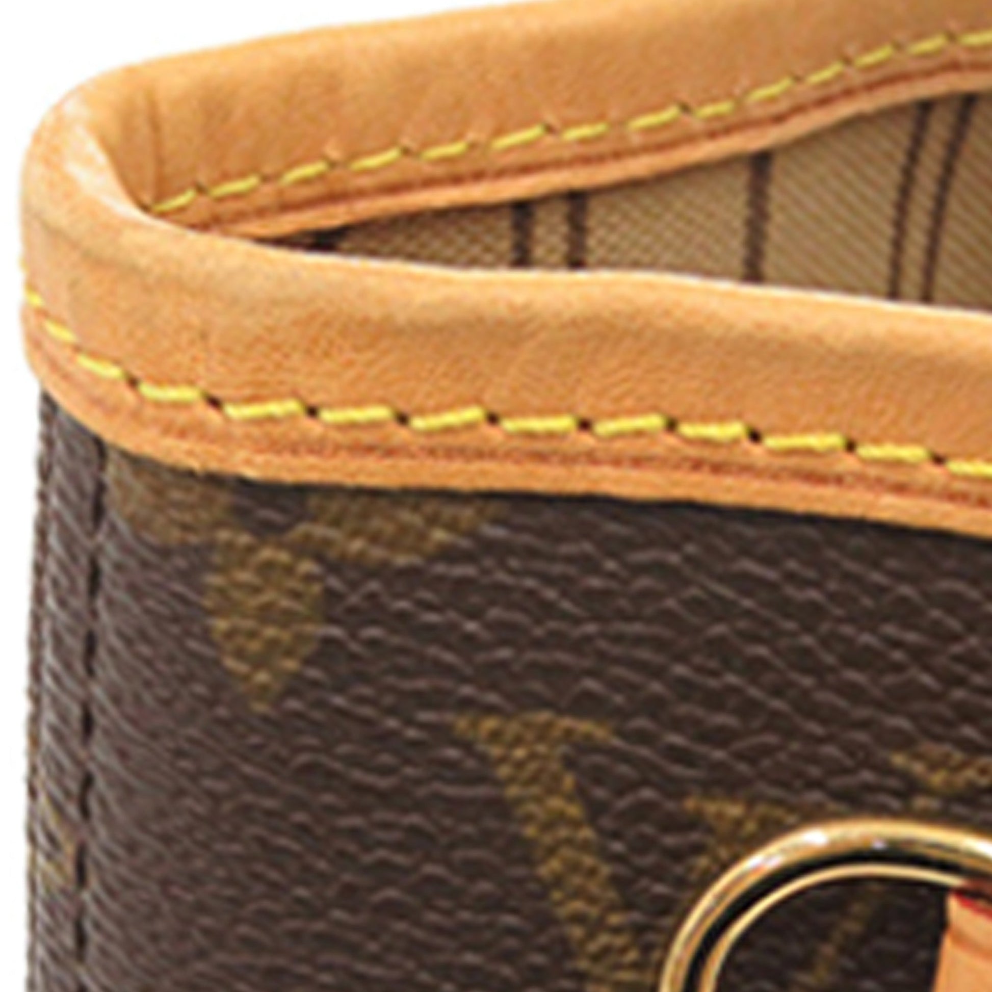 Louis Vuitton Monogram Neverfull PM