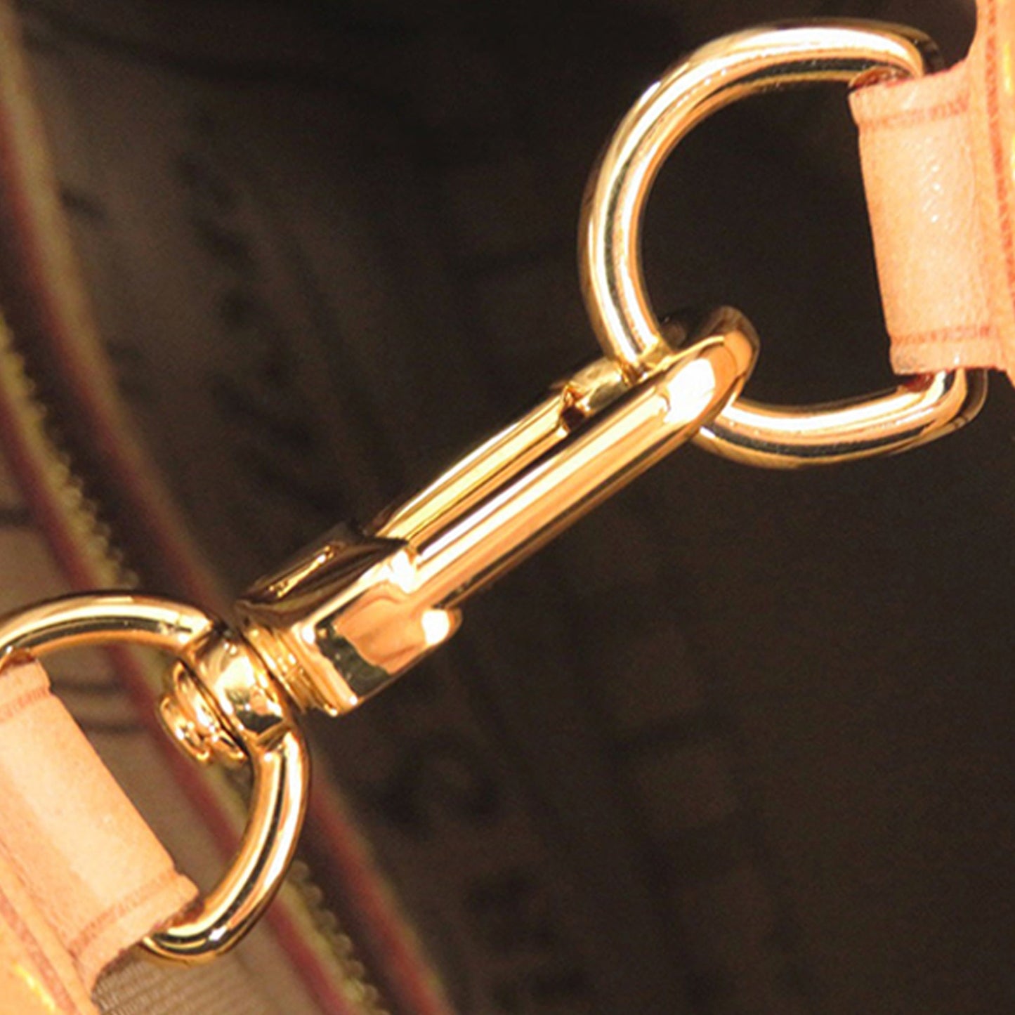 Louis Vuitton Monogram Neverfull PM