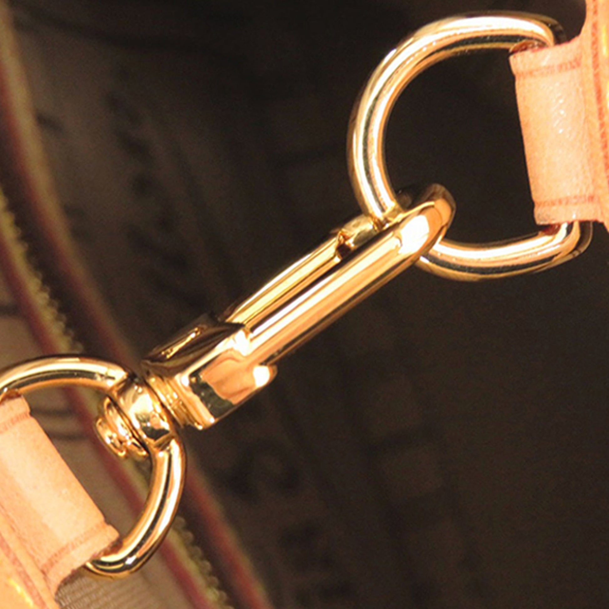 Louis Vuitton Monogram Neverfull PM