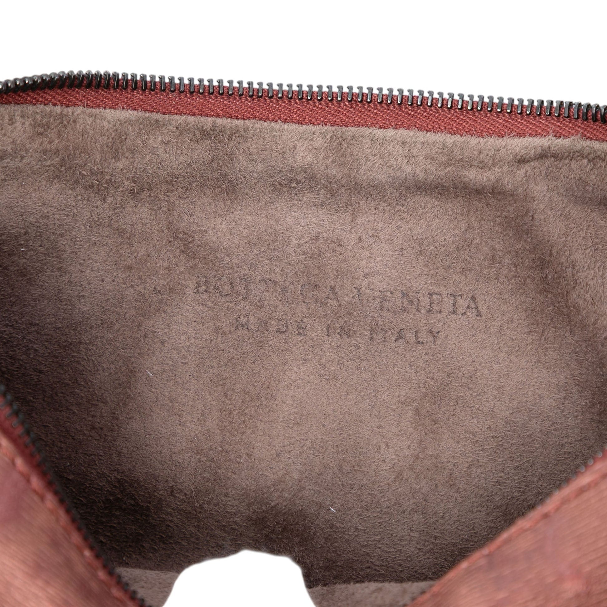Bottega Veneta Metallic Leather Crossbody