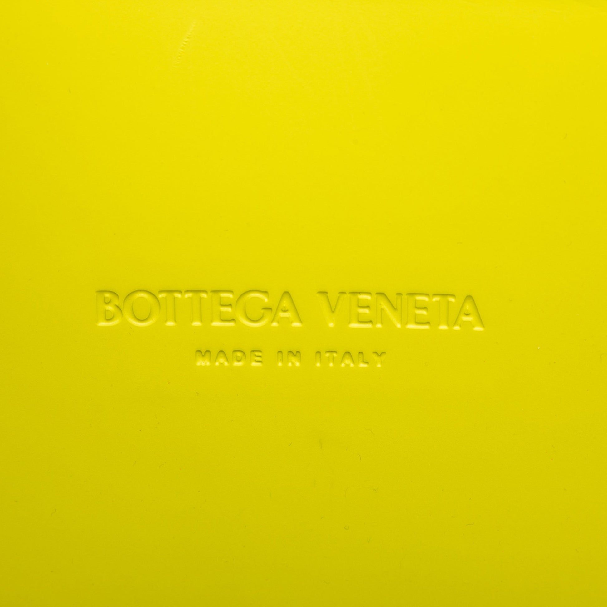 Bottega Veneta Medium Matte Rubber Arco Tote