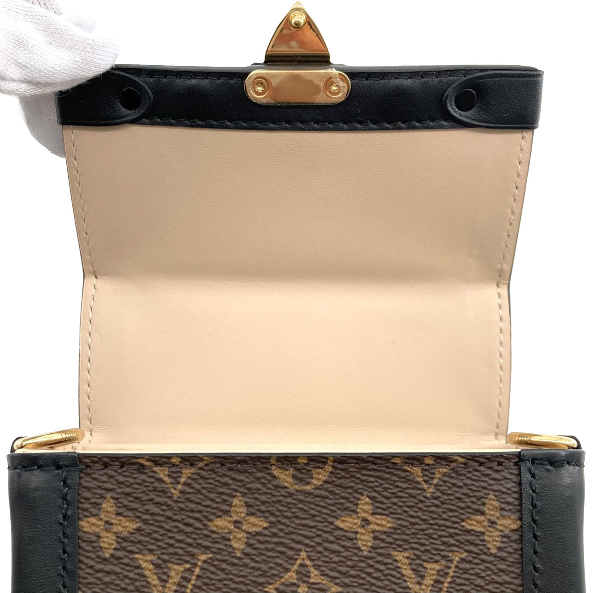 Louis Vuitton Monogram Pochette Trunk Verticale