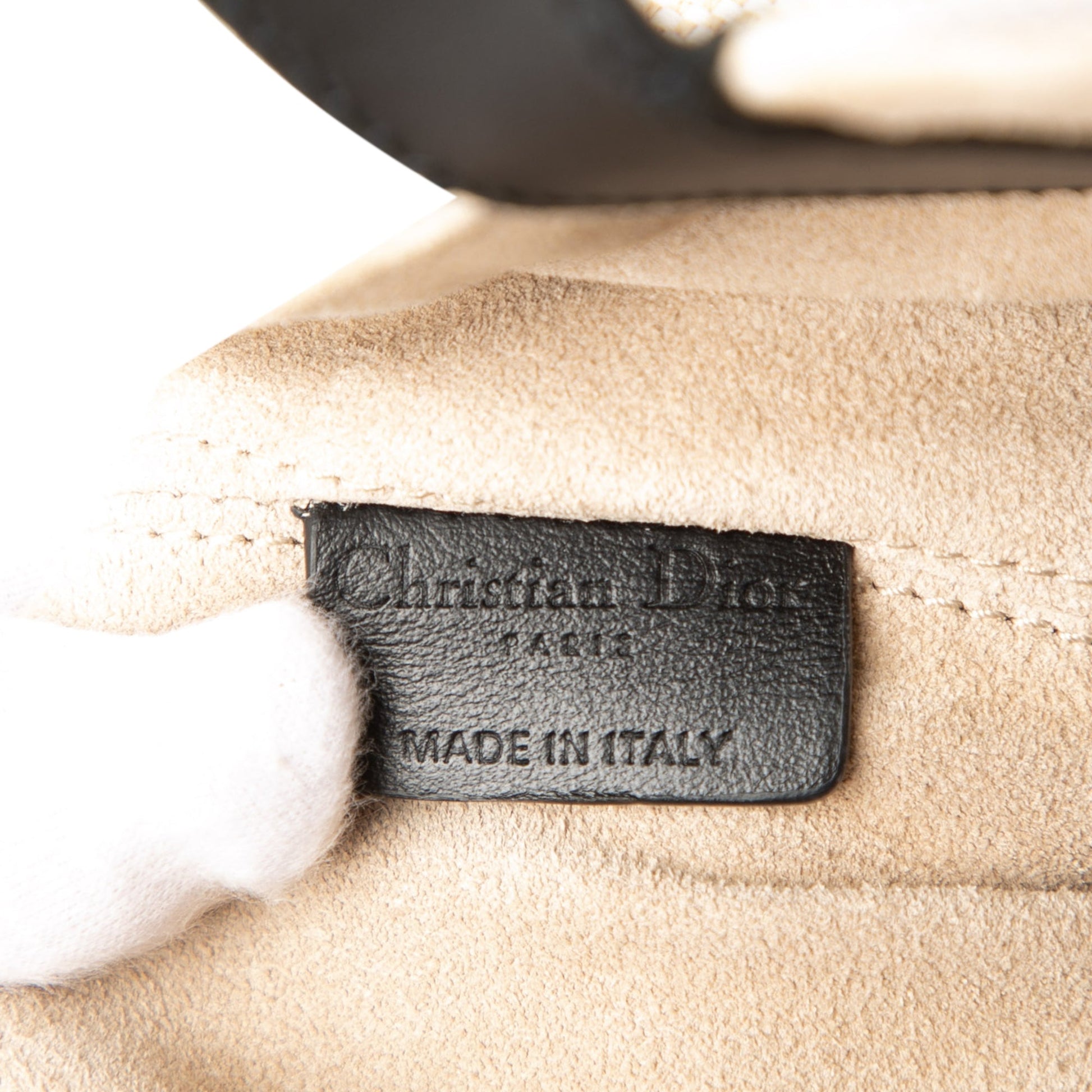 Dior Large Canvas Eiffel Tower Toujours Tote