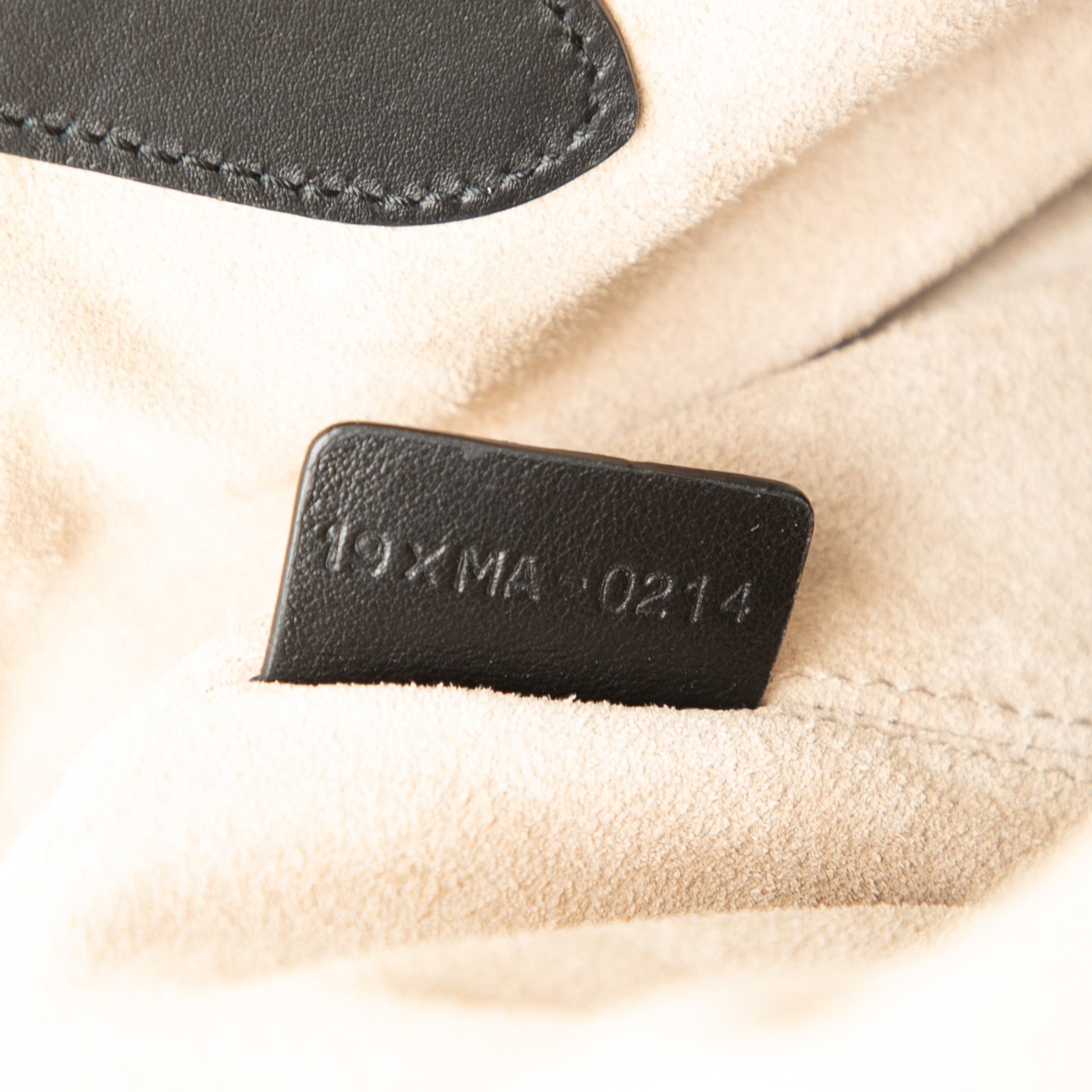Dior Large Canvas Eiffel Tower Toujours Tote