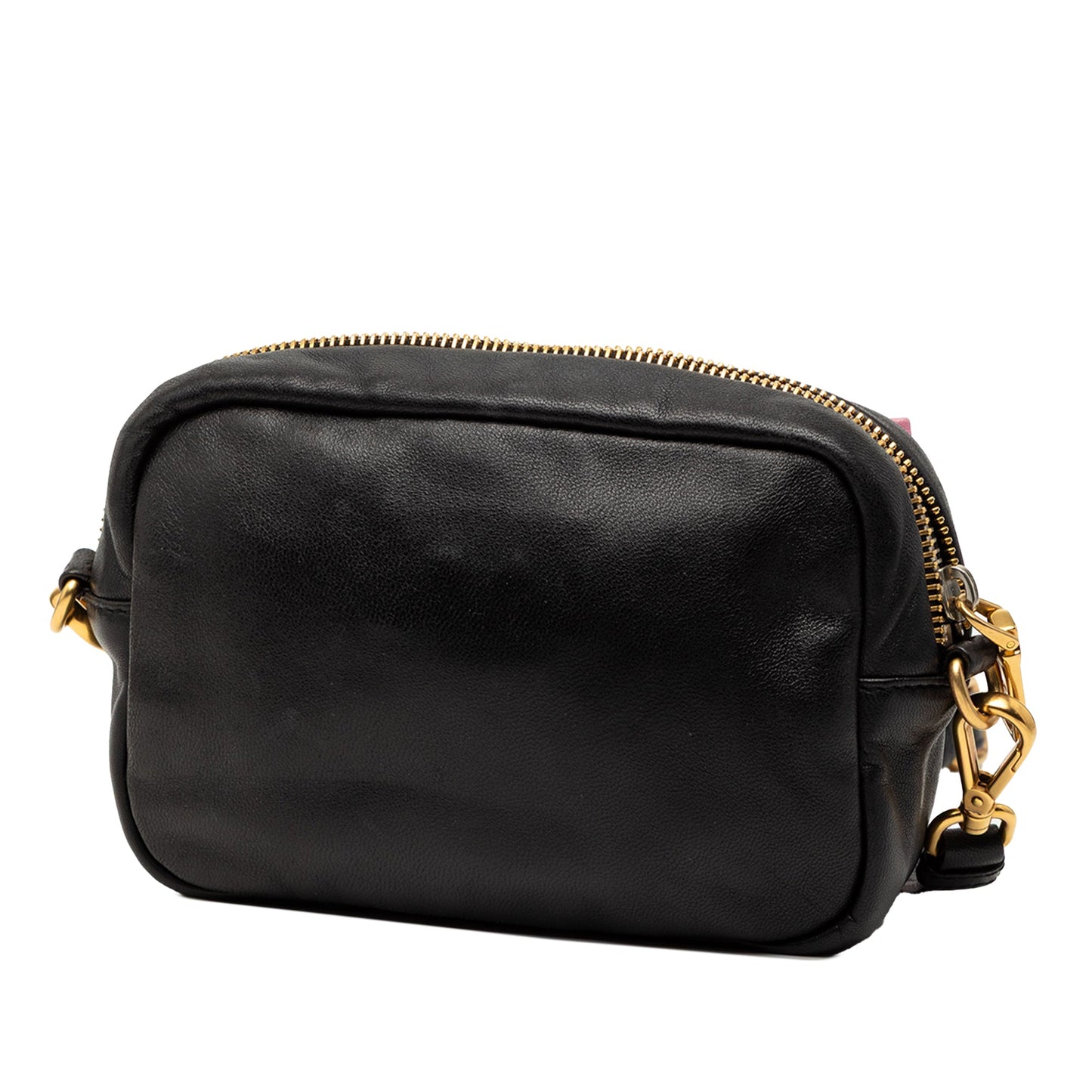 Prada Nappa Fiocco Bow Crossbody
