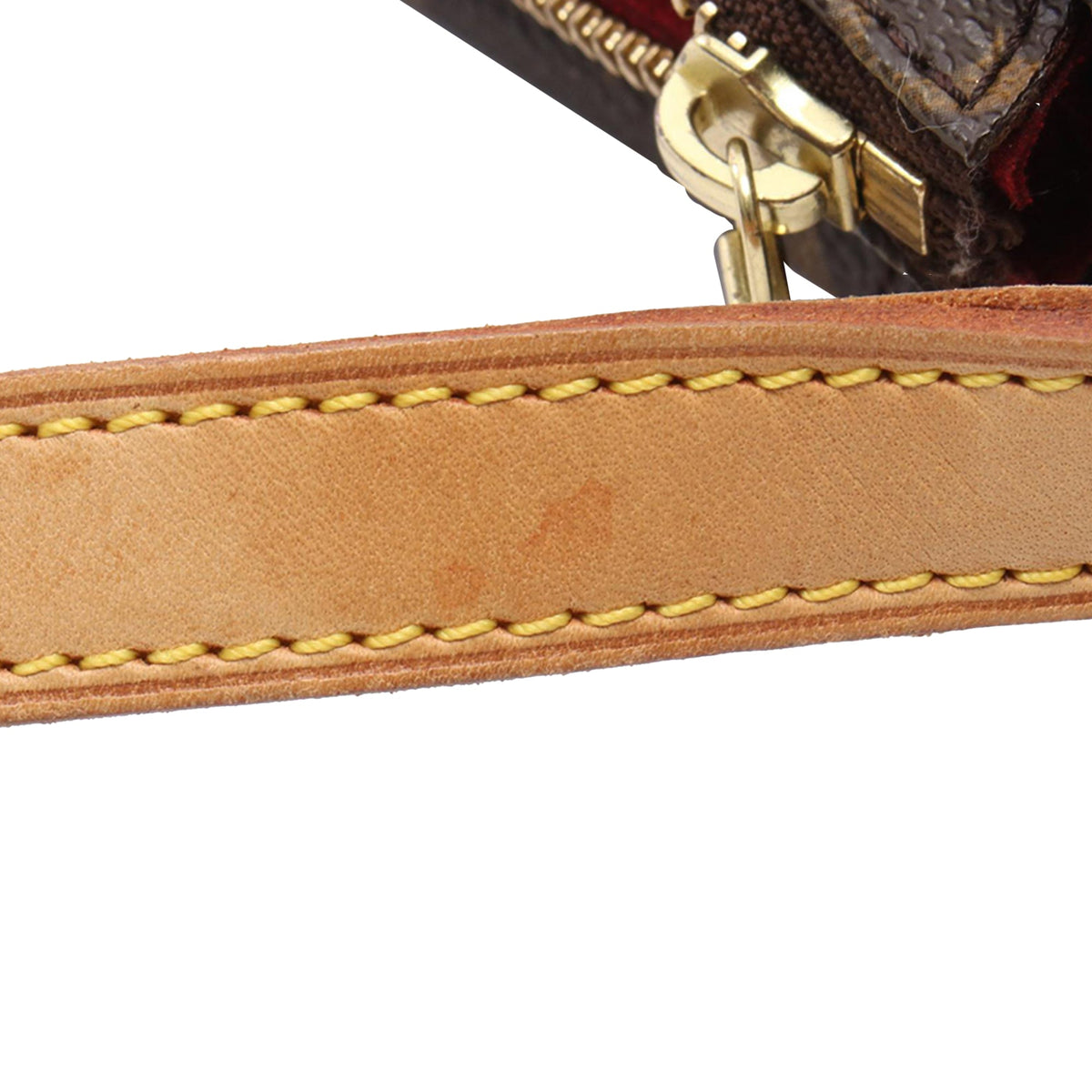 Louis Vuitton Monogram Viva Cite PM