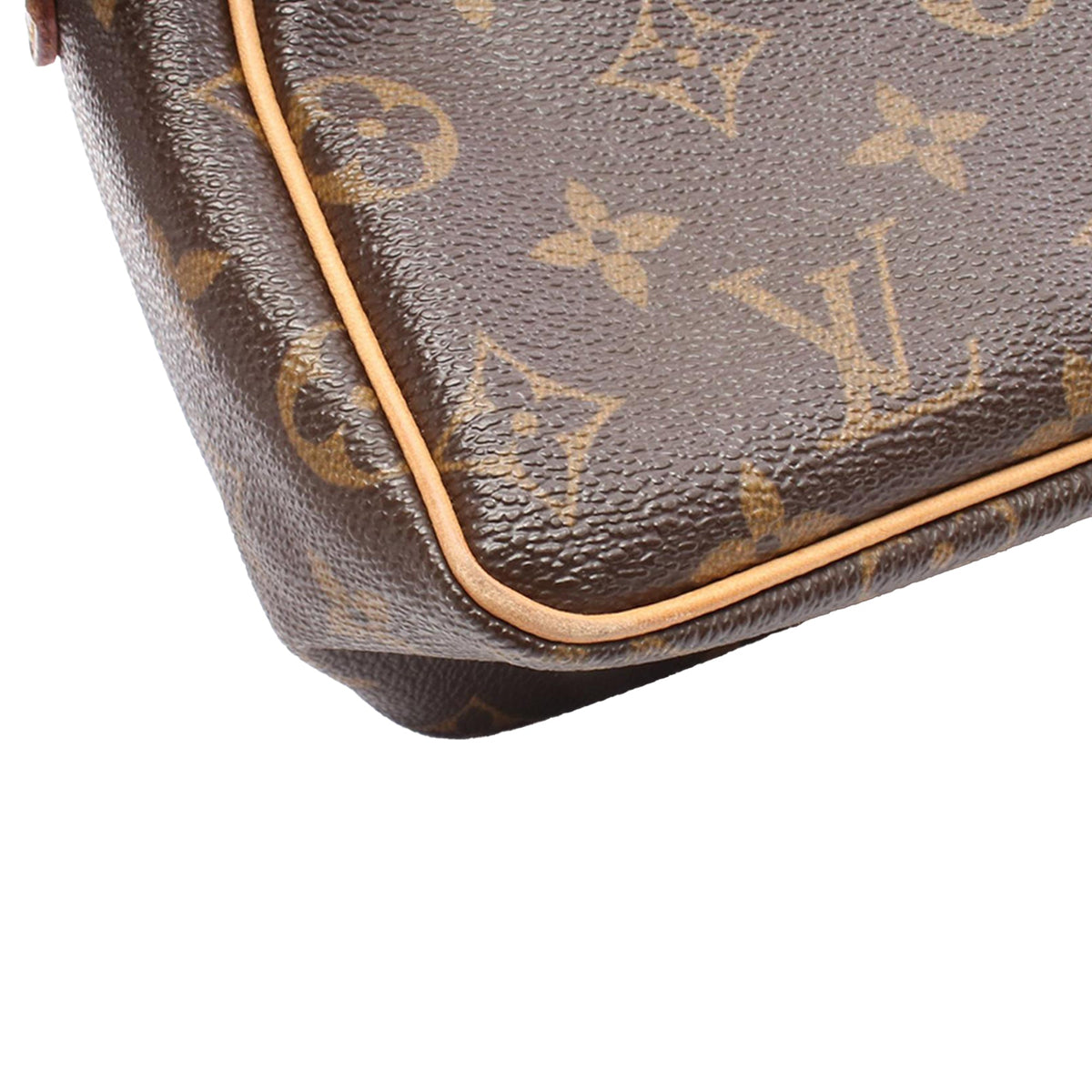 Louis Vuitton Monogram Viva Cite PM