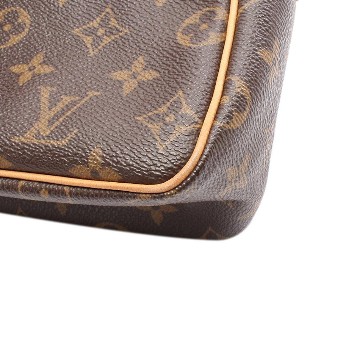 Louis Vuitton Monogram Viva Cite PM