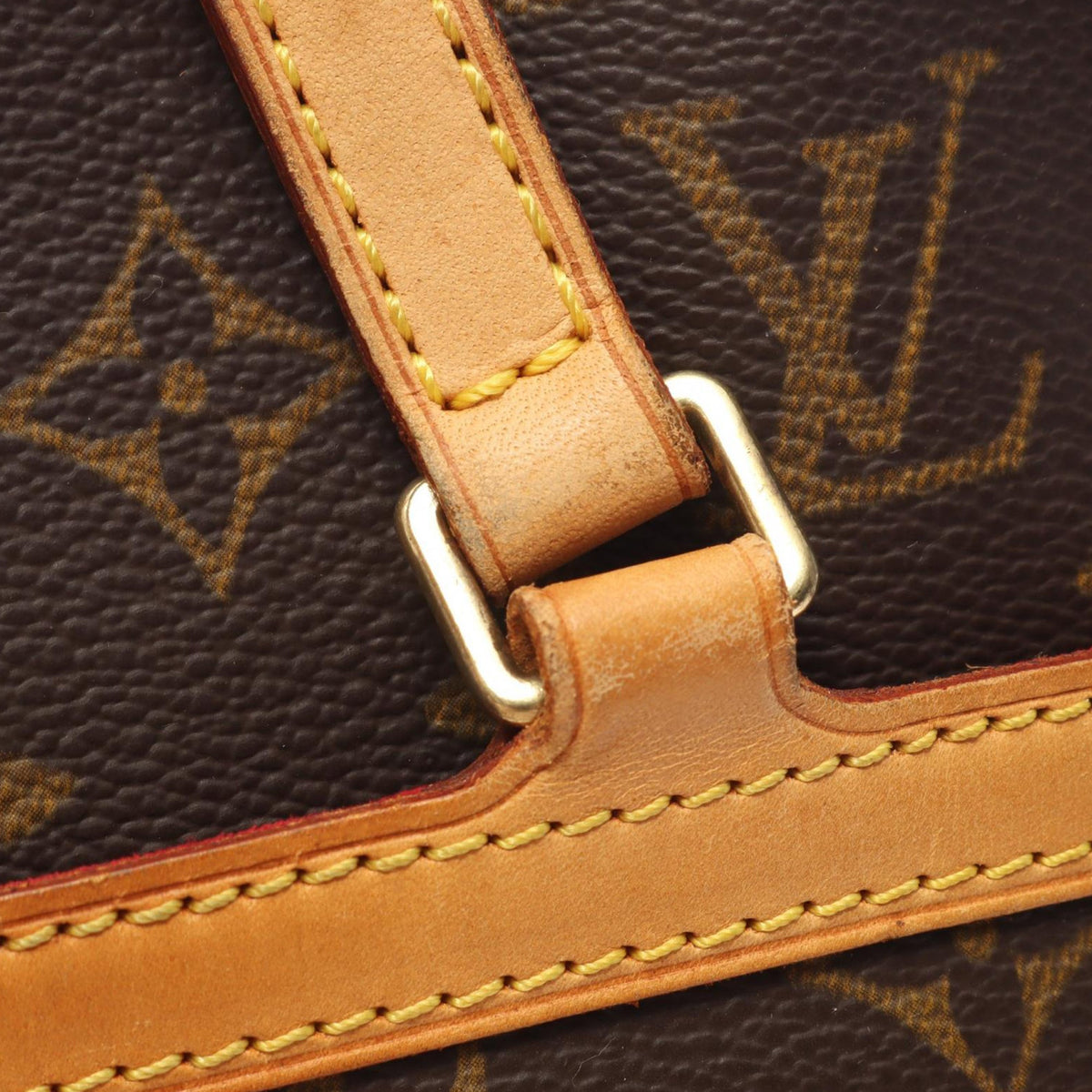 Louis Vuitton Monogram Coussin GM
