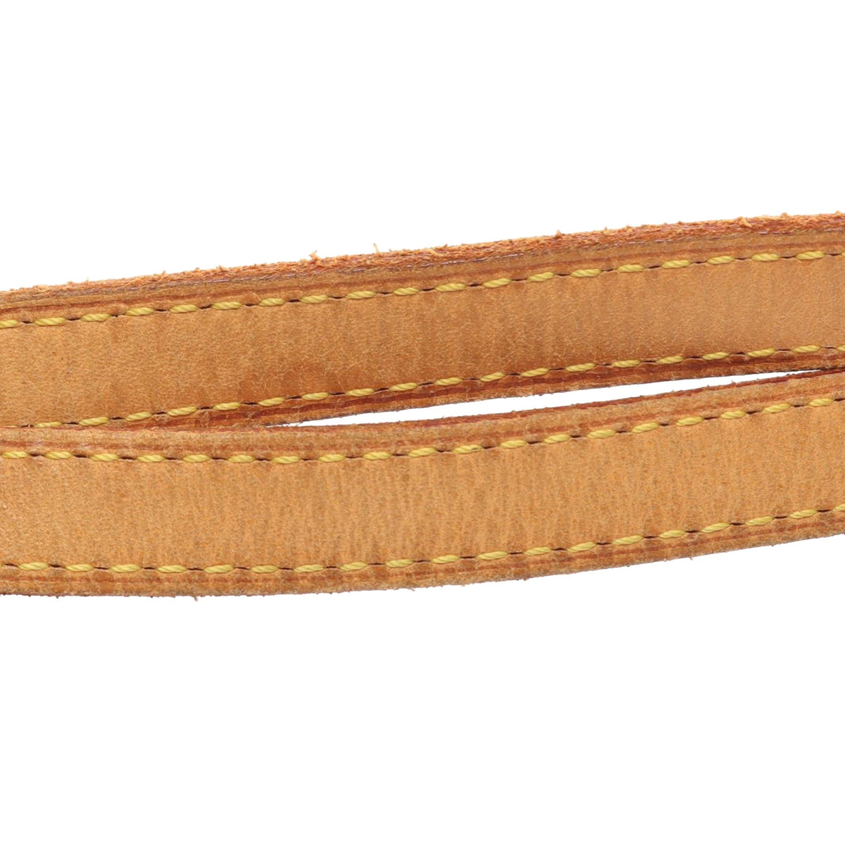 Louis Vuitton Monogram Coussin GM