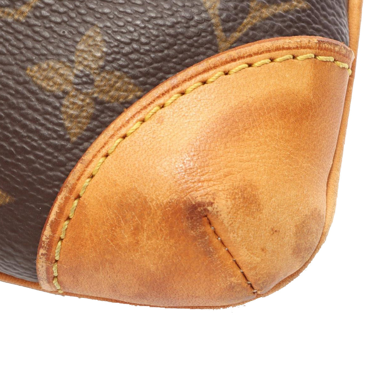 Louis Vuitton Monogram Coussin GM