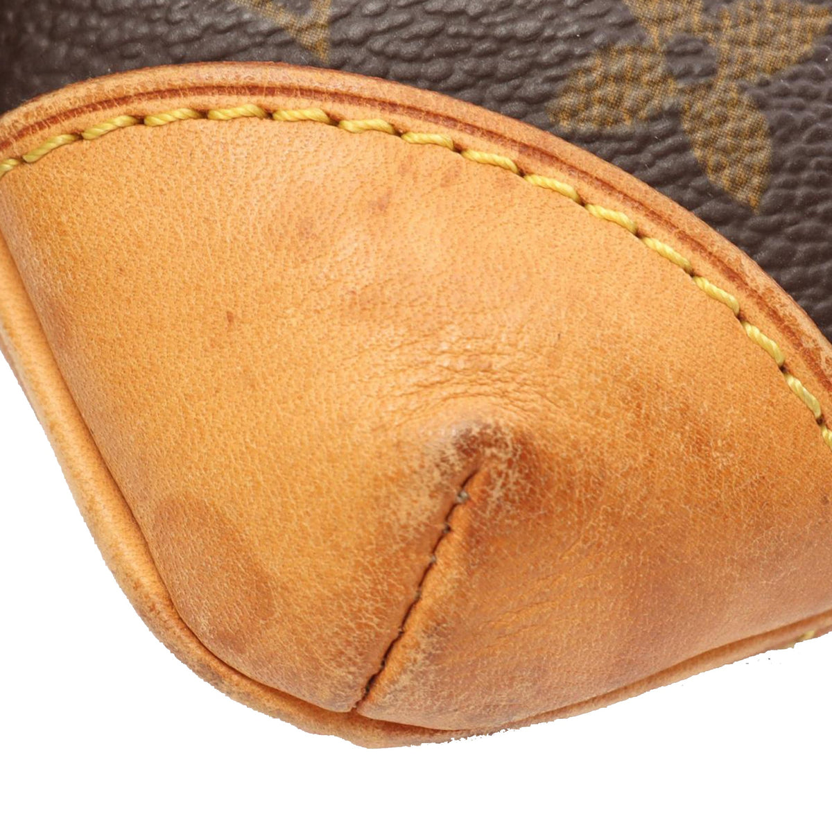 Louis Vuitton Monogram Coussin GM