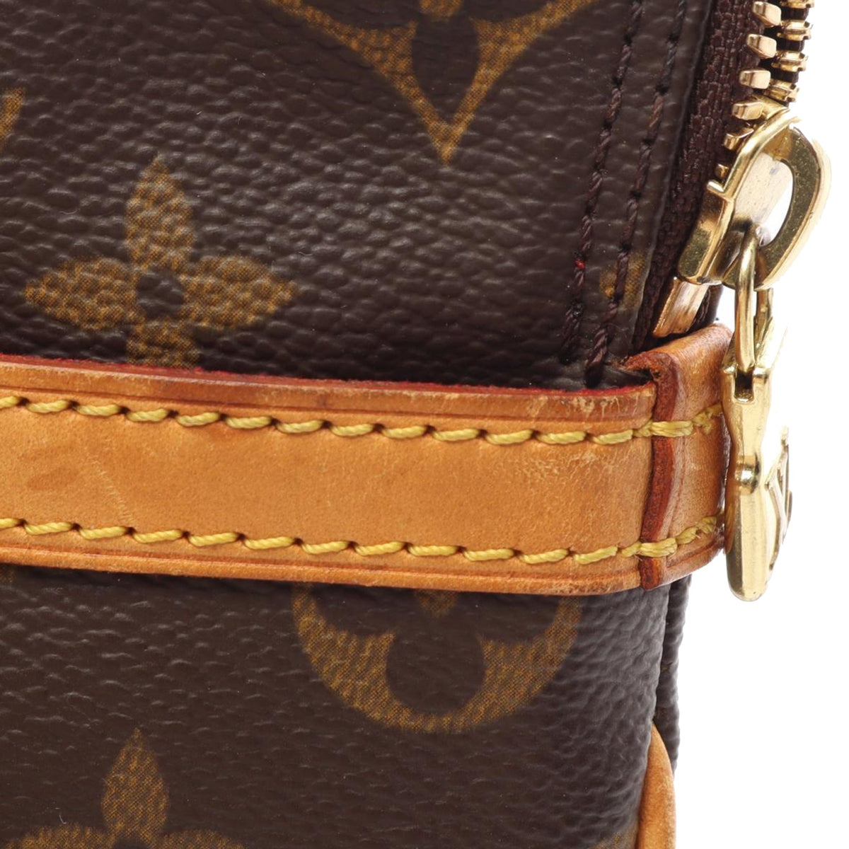 Louis Vuitton Monogram Coussin GM