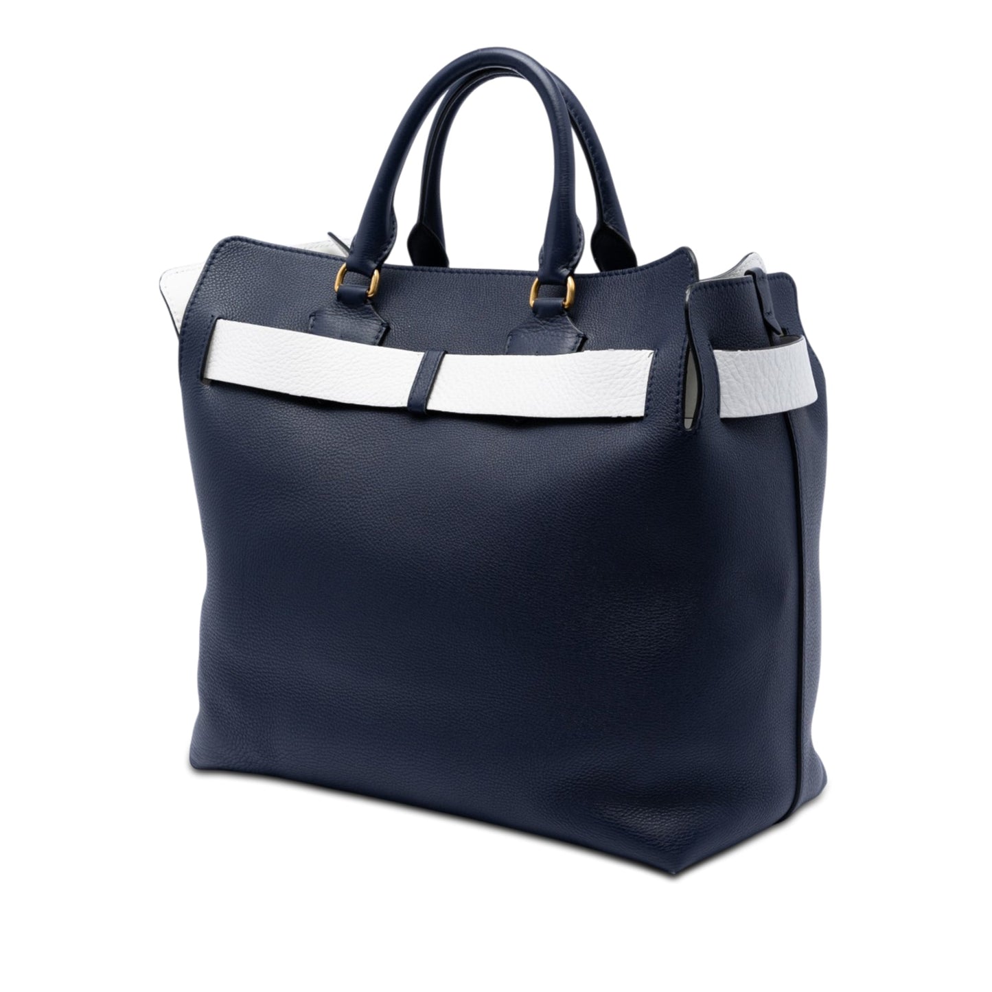 Burberry Large Bicolor Leather Belt Bag